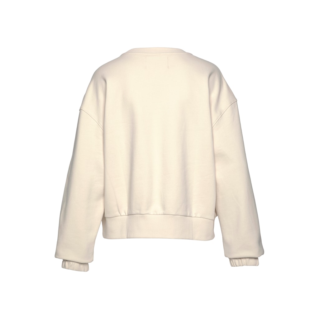 Calvin Klein Jeans Plus Sweatshirt »PLUS TWO TONE MONOGRAM CREW NECK«