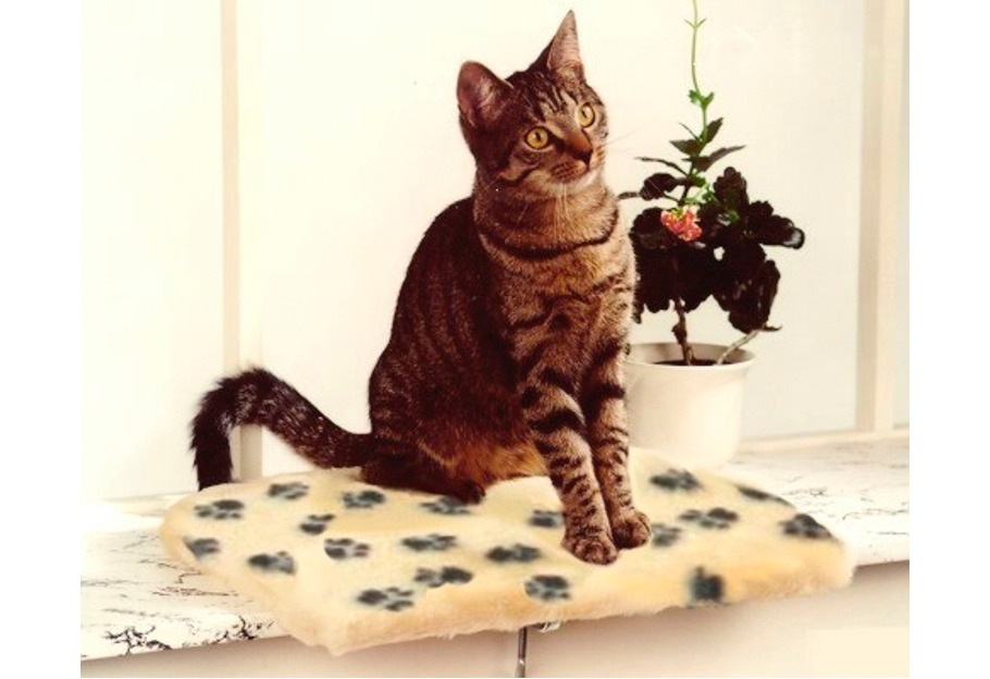 SILVIO design Katzenliege Fensterliege beige Katzenkörbe -kissen Katze Tierbedarf