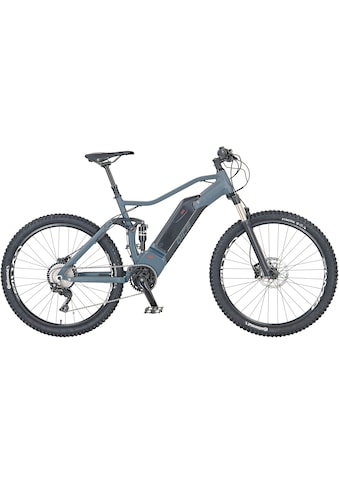 Prophete E-Bike »DICE 4.0« 10 Gang Shimano Mitt...