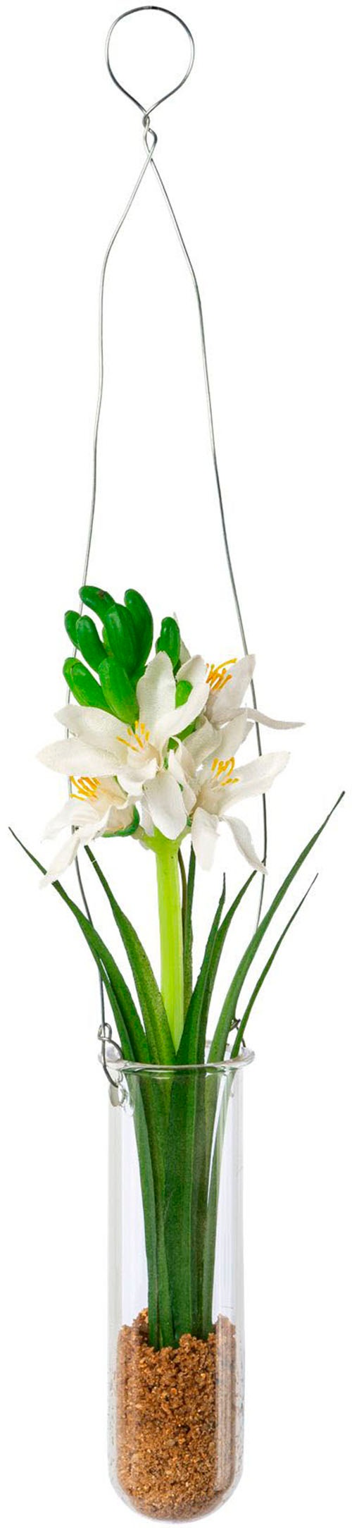 Creativ green Kunstblume »Hyacinthe in Hängevase«