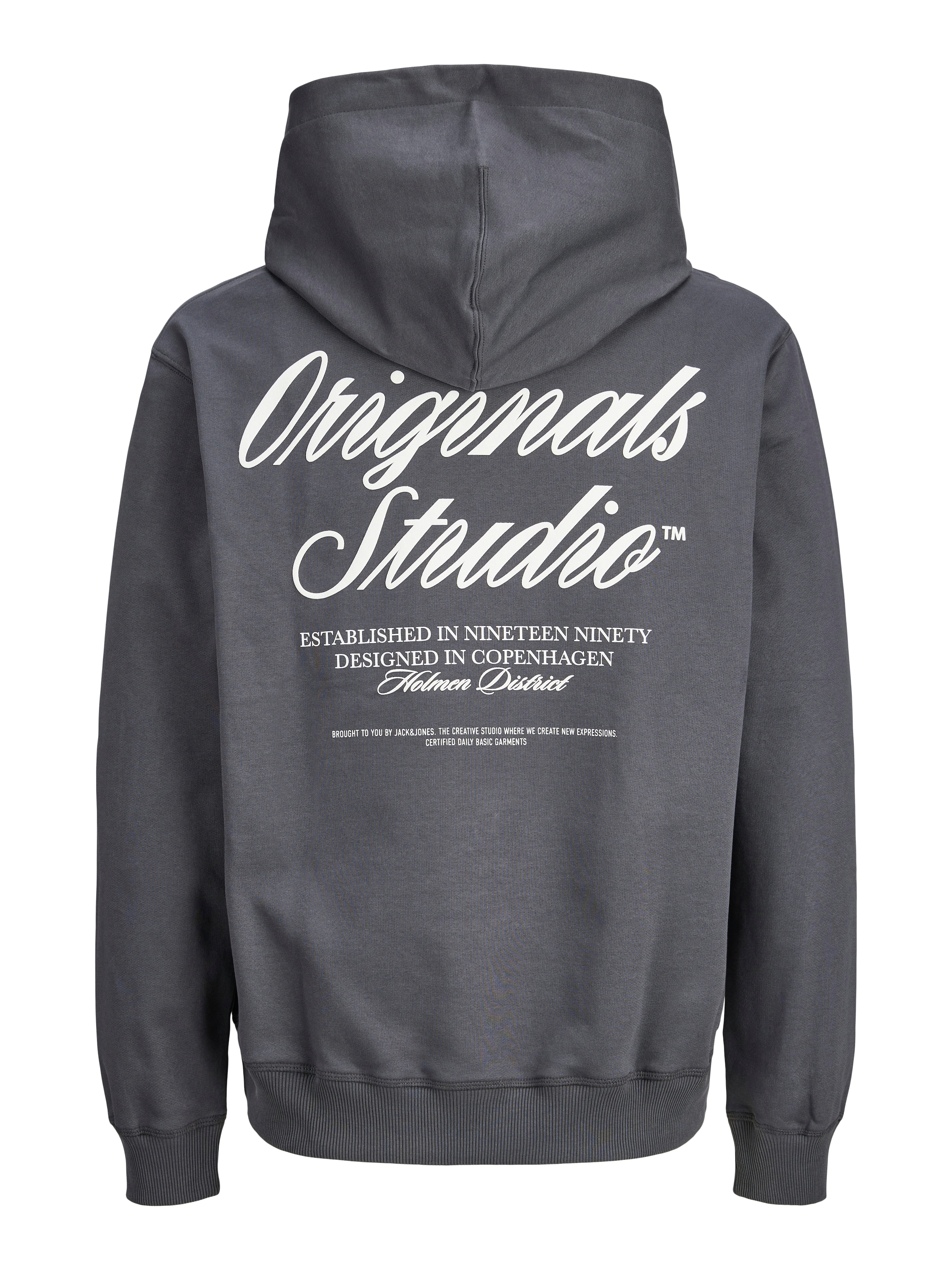 Jack & Jones PlusSize Kapuzensweatshirt »JORNORREBRO TYPO BACK SWEAT HOOD PLS«, Baumwollmischung, regular fit
