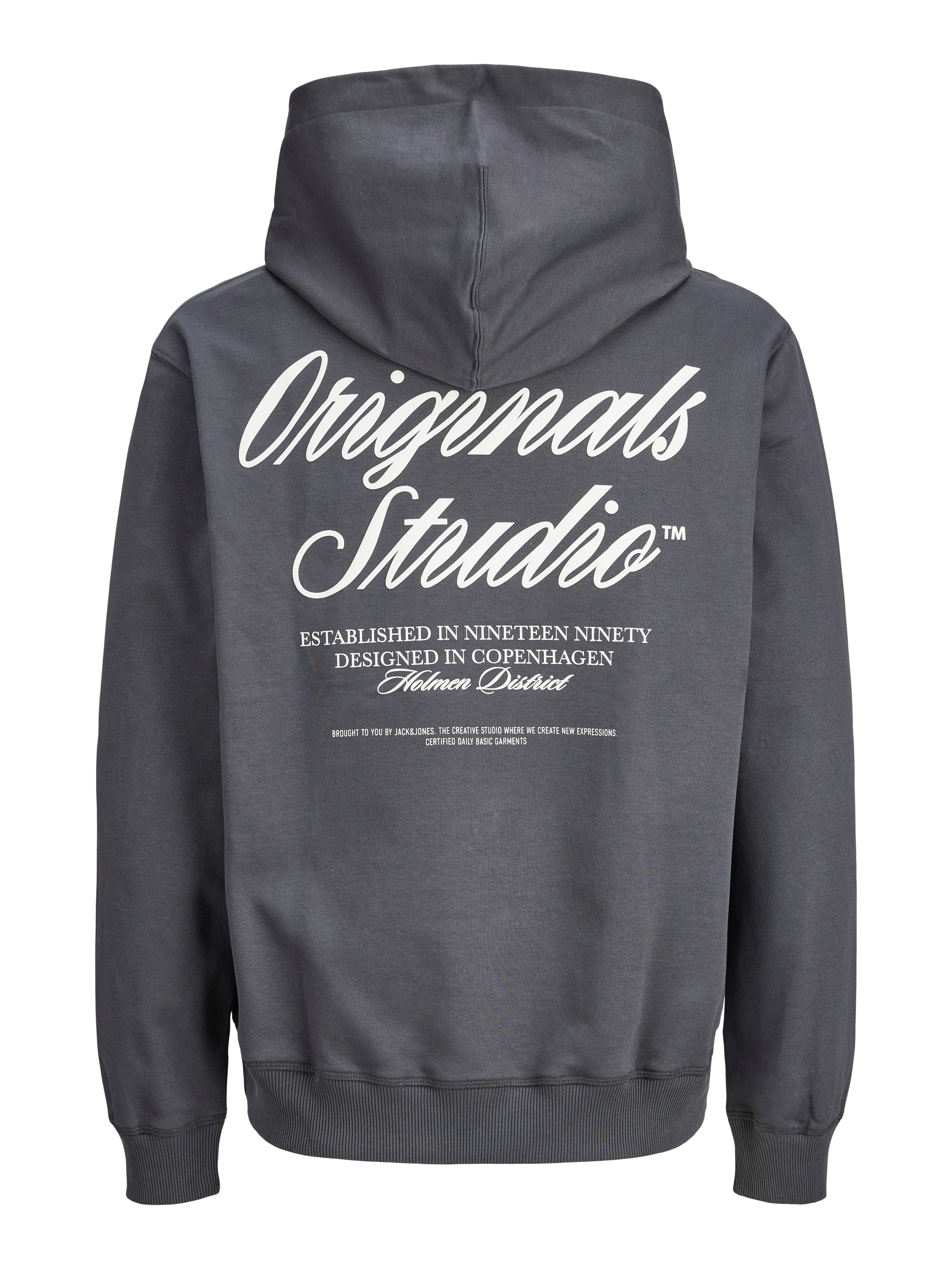 Jack & Jones PlusSize Kapuzensweatshirt "JORNORREBRO TYPO BACK SWEAT HOOD P günstig online kaufen