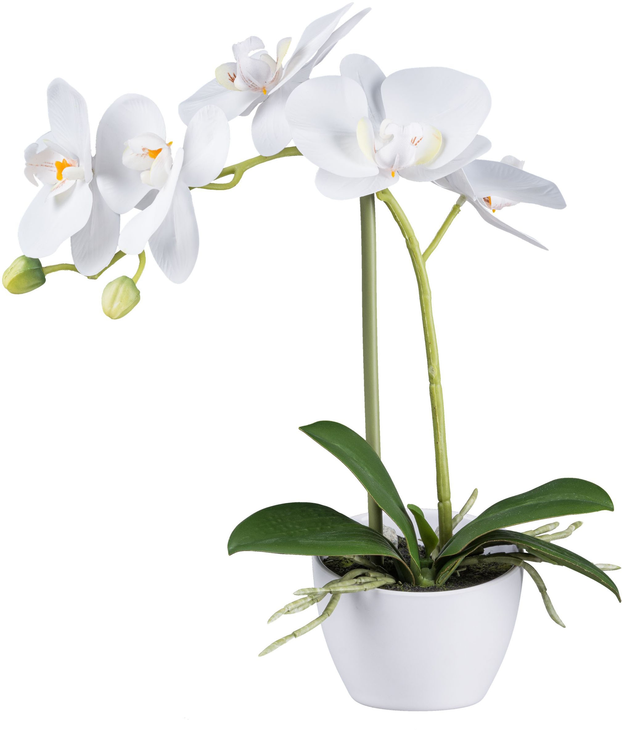 Creativ green Kunstorchidee »Orchidee Phalaenopsis«, im weißen Design-Topf