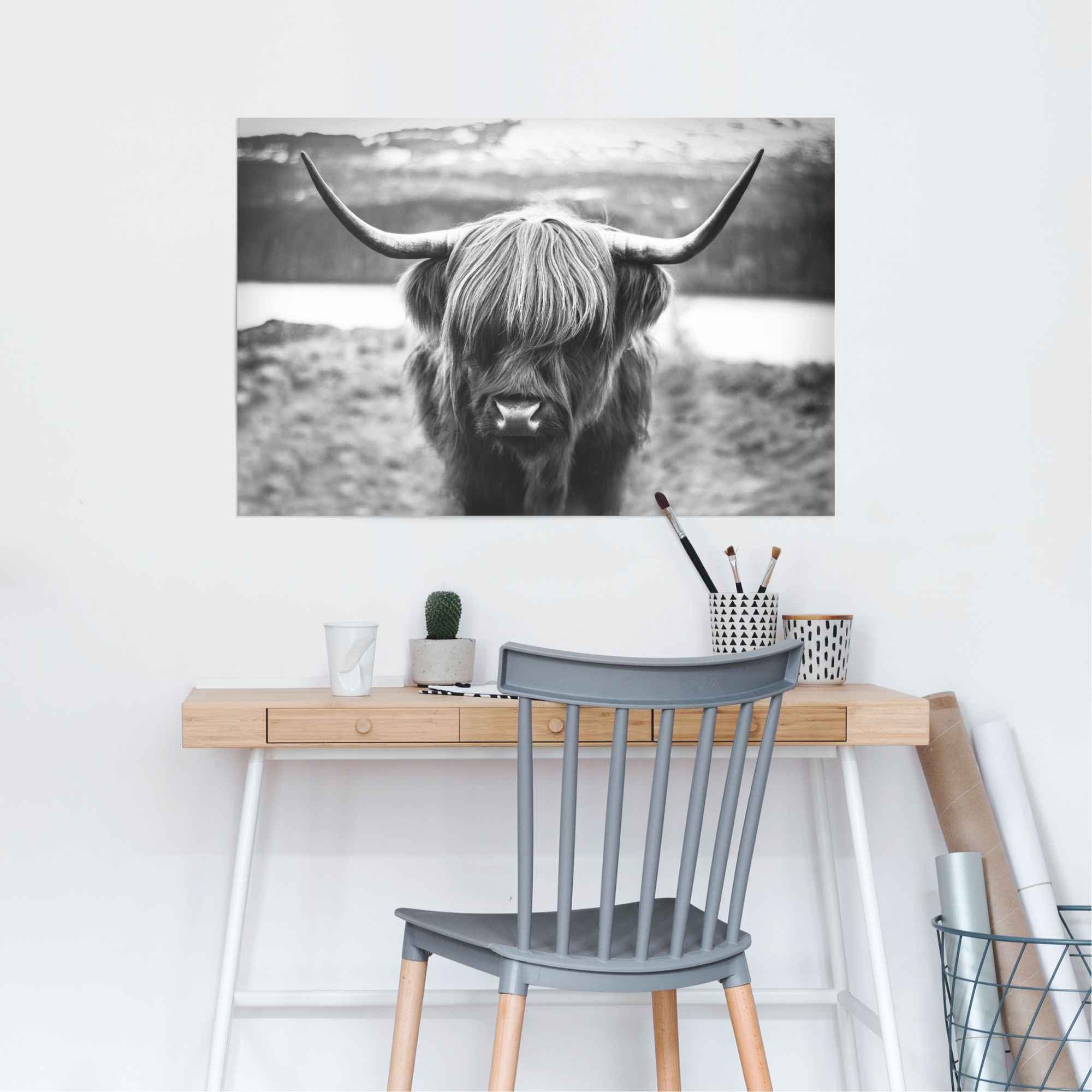 Reinders Poster "Schottische Hochlandrind", (1 St.) günstig online kaufen