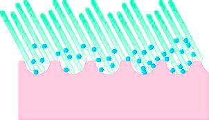 Janastyle Waschgurt "Micro-Peeling-Rückenreiniger für strahlend frische Hau günstig online kaufen