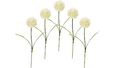 I.GE.A. Kunstblume »Allium«, (5 St.), 5er Set kaufen
