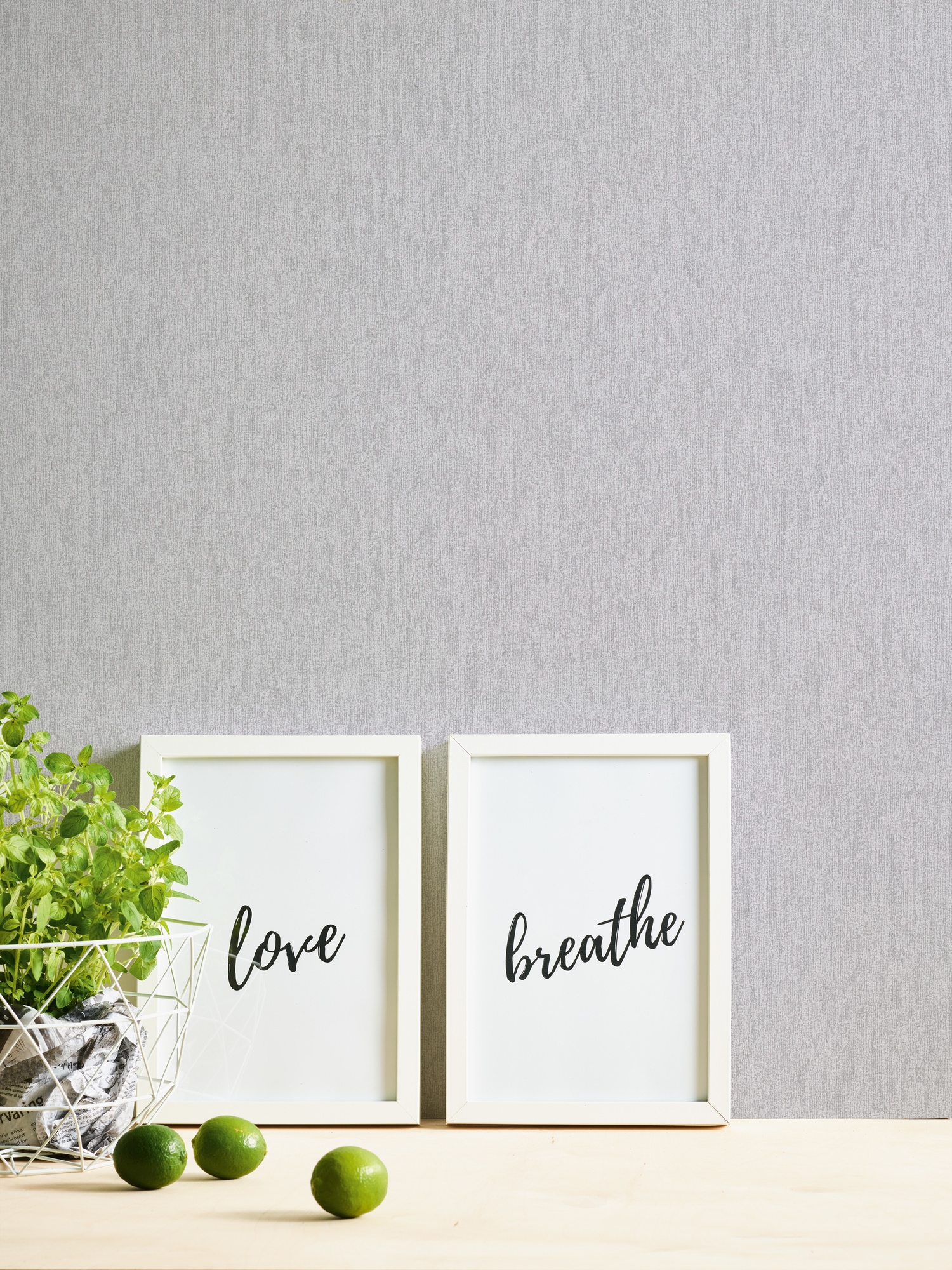 A.S. Création Vliestapete »Attractive 2 Mustertapete« gemustert | matt | neutral glatt Unitapete glatt Hellgrau einfarbig Tapeten Wohnzimmer modern Design