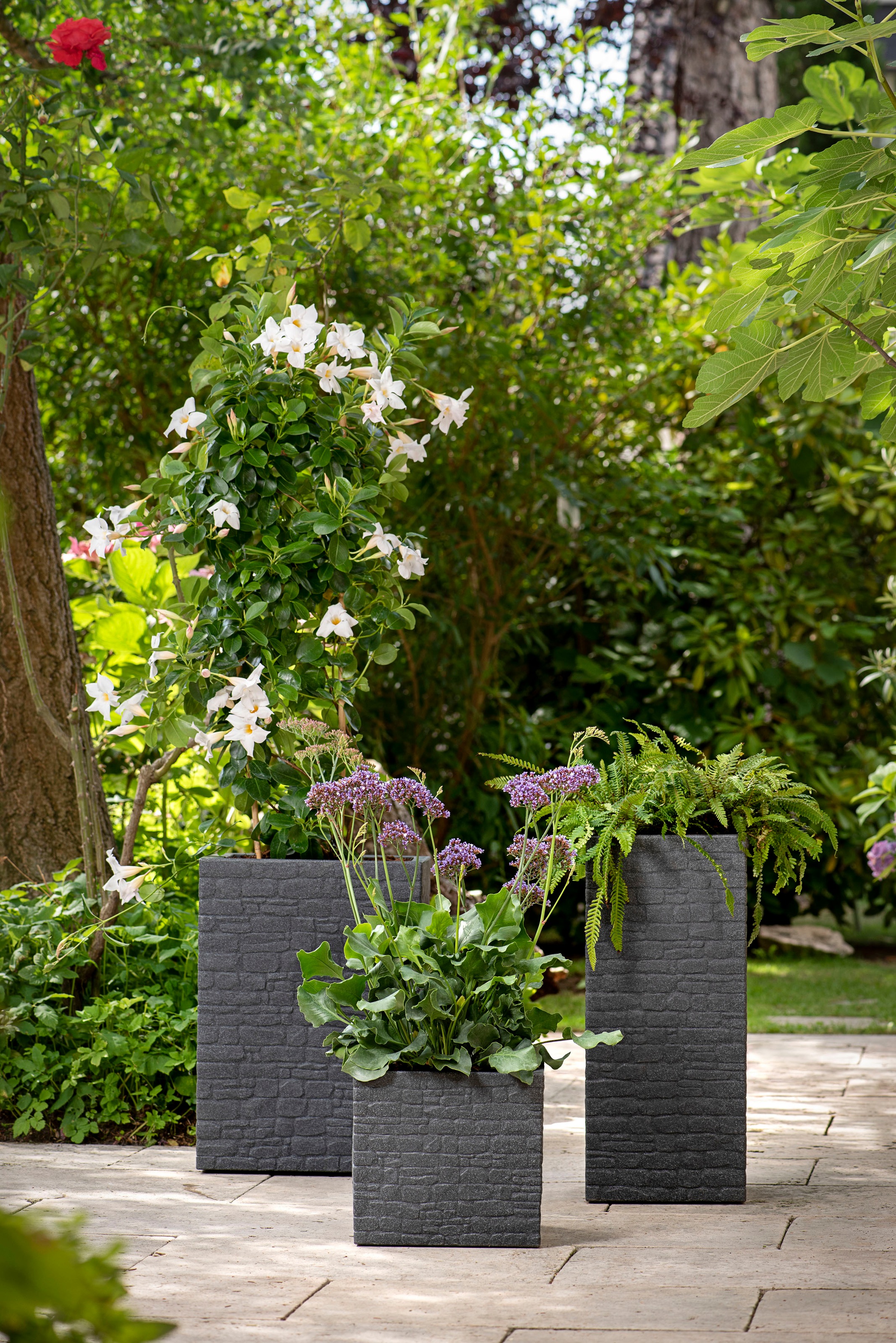 Scheurich Blumentopf »40/246 MURETTO«