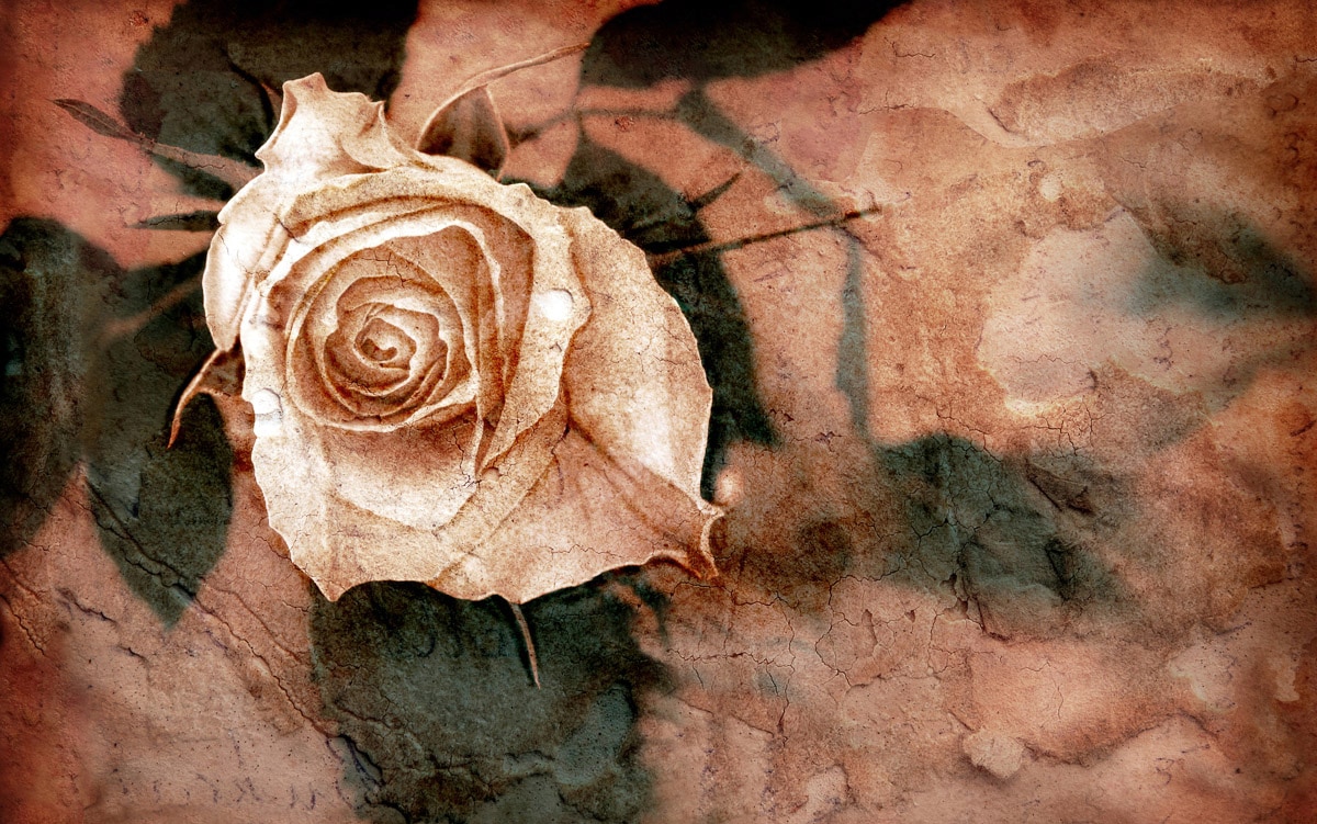 Papermoon Fototapete "Muster mit Blumen"