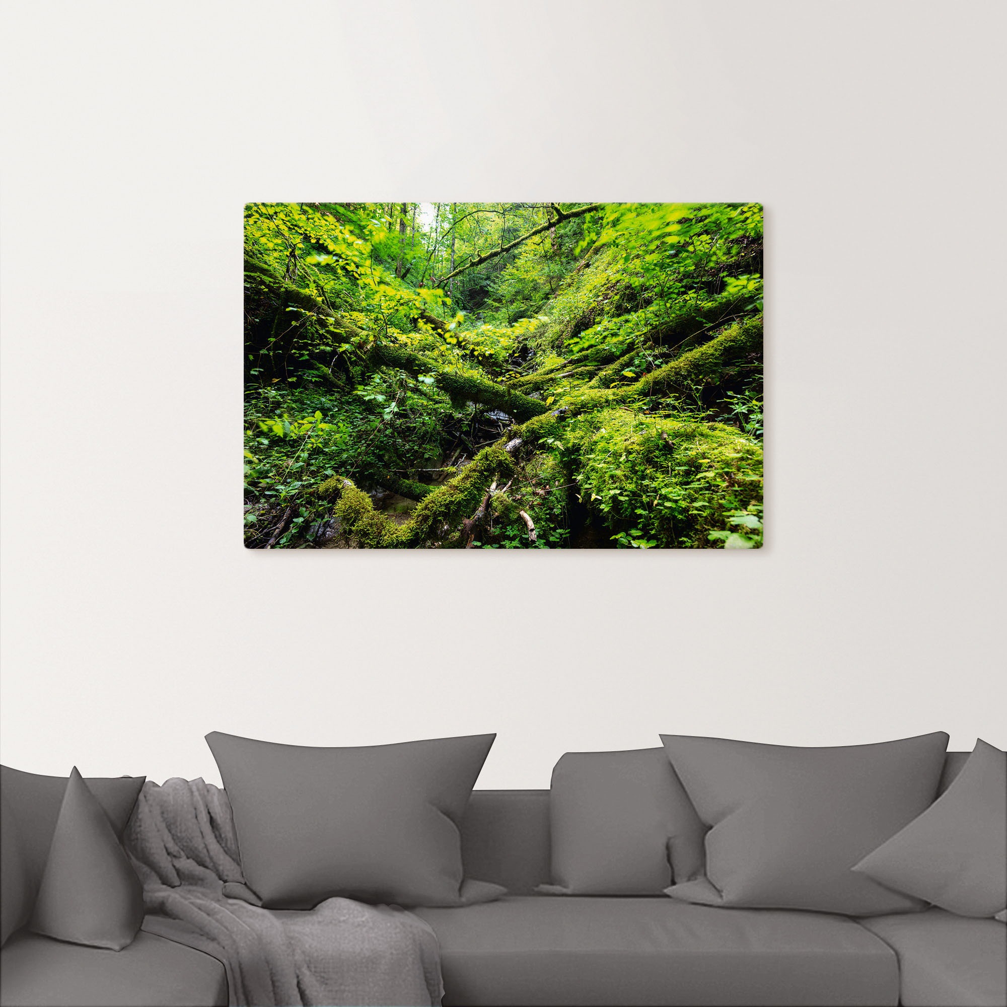 Artland Wandbild »Moosbedecktes Totholz Schwarzwald«, Waldbilder, (1 St.), als Alubild, Leinwandbild, Wandaufkleber oder Poster in versch. Größen