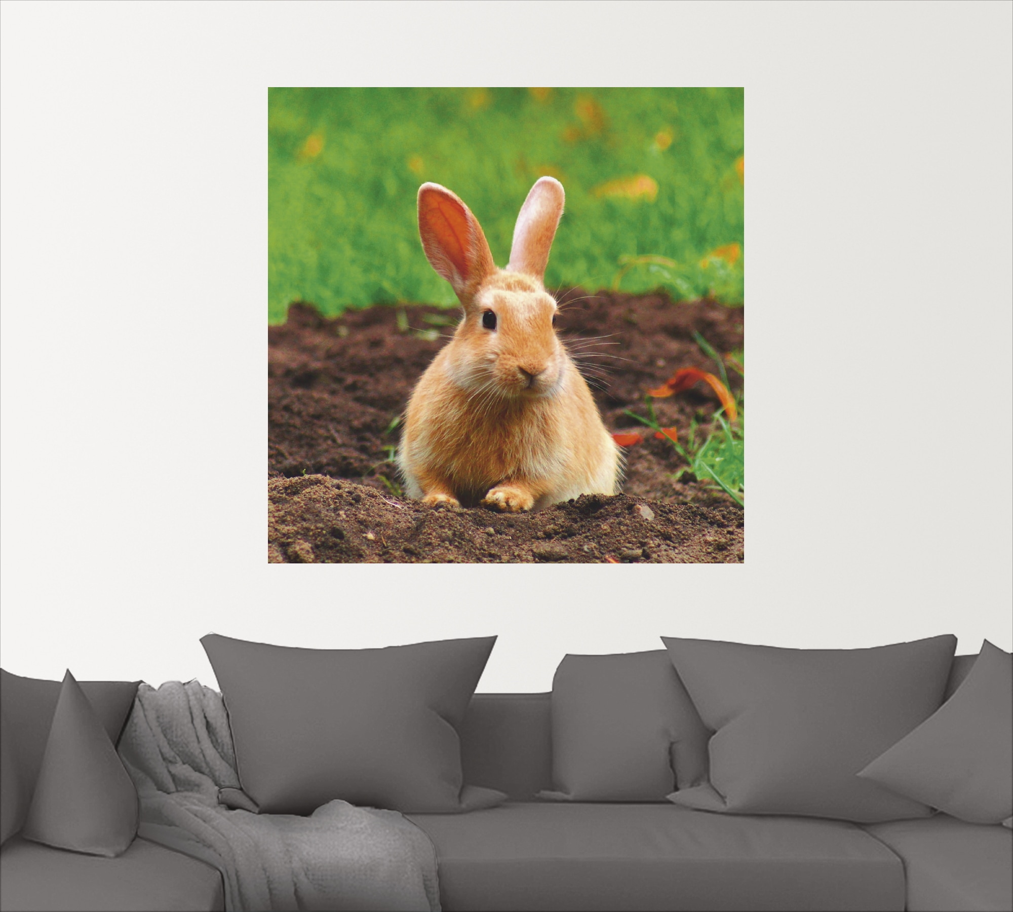 Artland Wandbild »Glückliches Zwergkaninchen«, Wildtiere, (1 St.), als Leinwandbild, Wandaufkleber in verschied. Größen