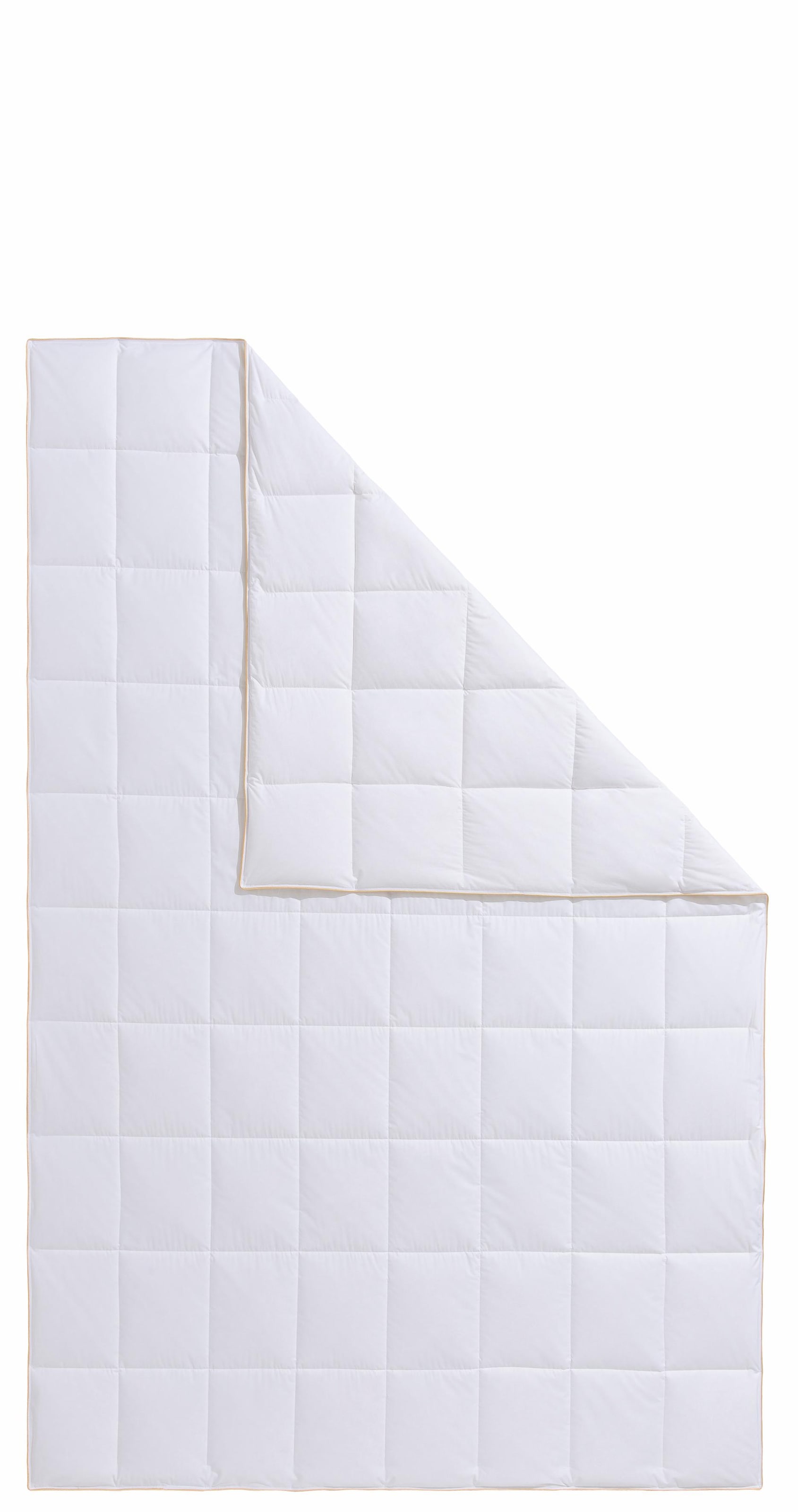 Frau Holle Daunenbettdecke "Zara, Bettdecken für Sommer oder Winter, herges günstig online kaufen