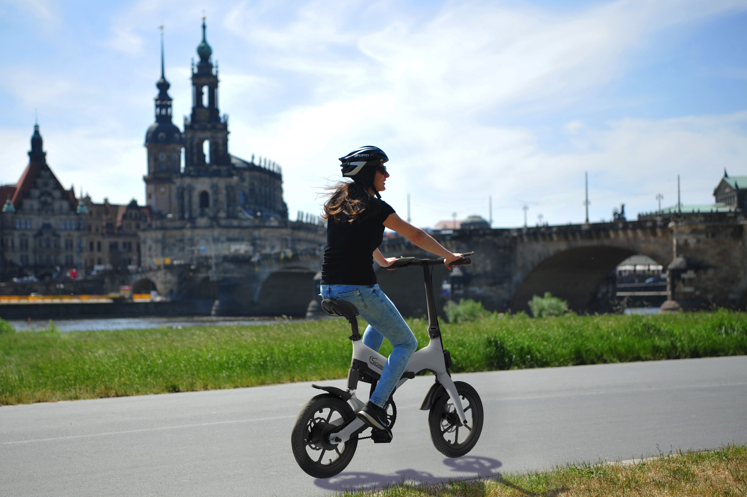 SachsenRad »F12« 1 Gang Shimano keine Schaltwerk ohne Schaltung Heckmotor 250 W LCD-Steuerdisplay, Fahrmodus Pedelec, 
LED-Frontlicht, LED Rücklicht