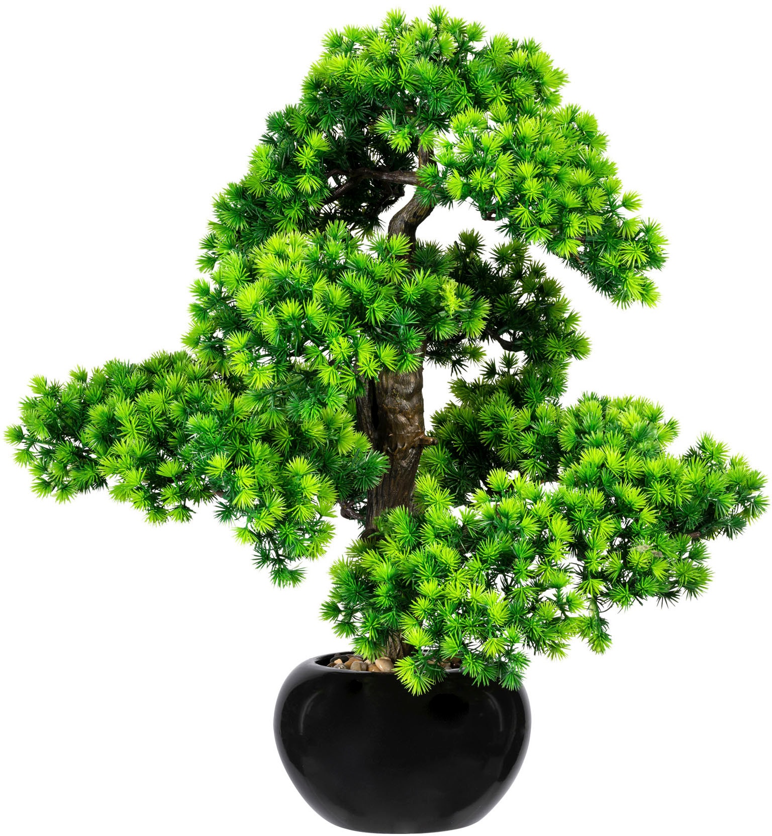 Creativ green Kunstbonsai »Bonsai Lärche«, im Keramiktopf
