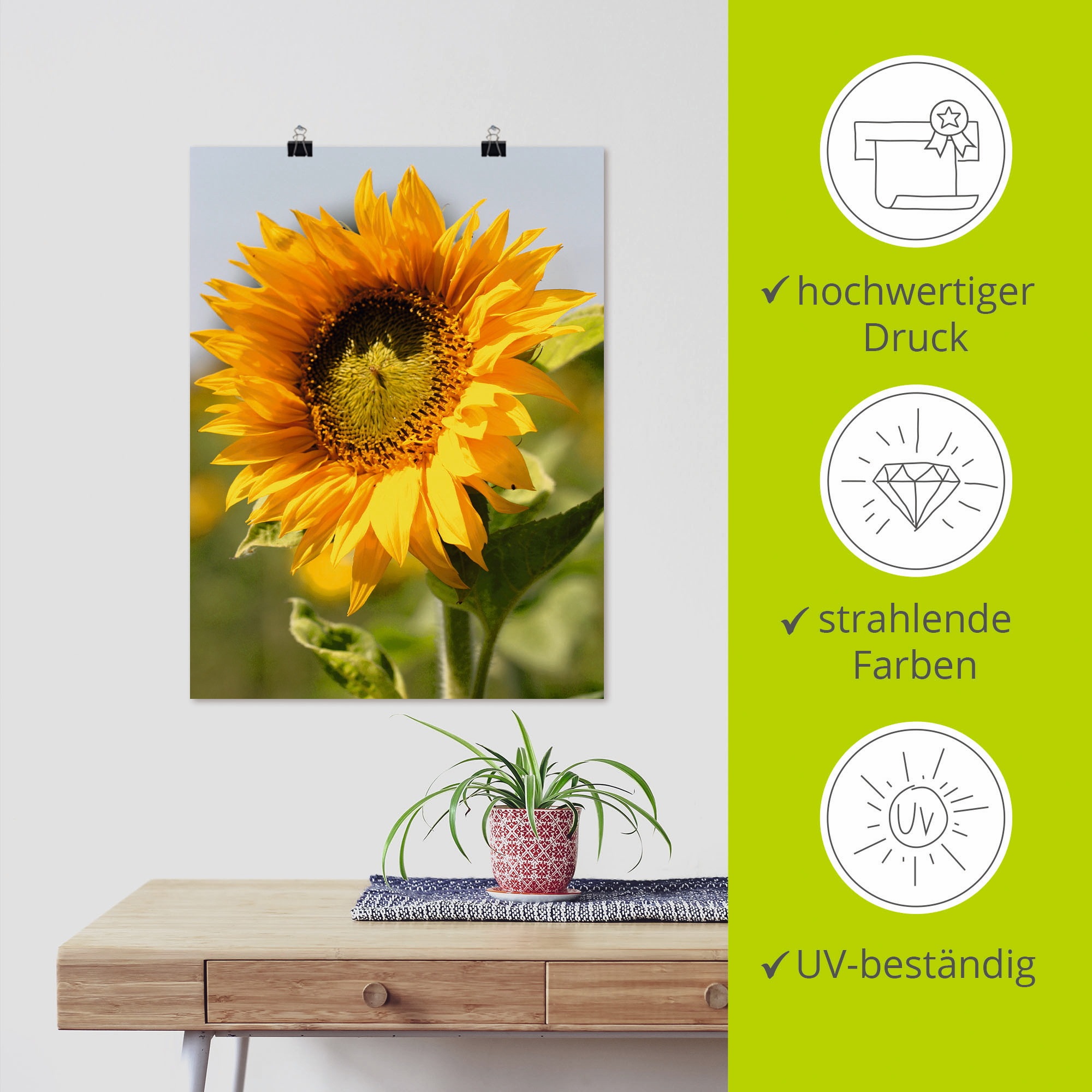 Artland Wandbild »Sonnenblume«, Blumen, (1 St.), als Leinwandbild, Poster, Wandaufkleber in verschied. Größen