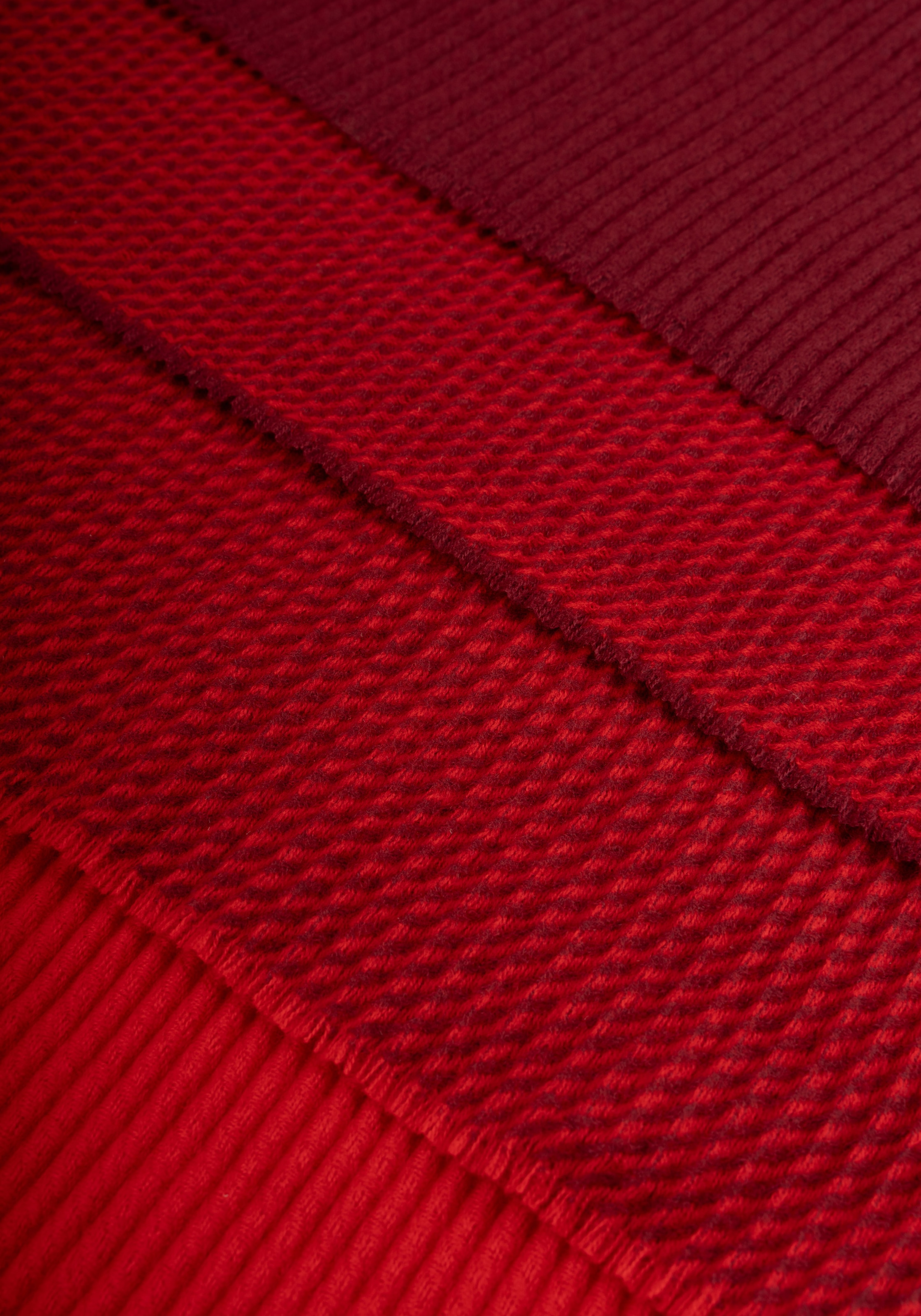 Capelli New York Modeschal , tricolor, leichte Fransenkante, Farbverlauf