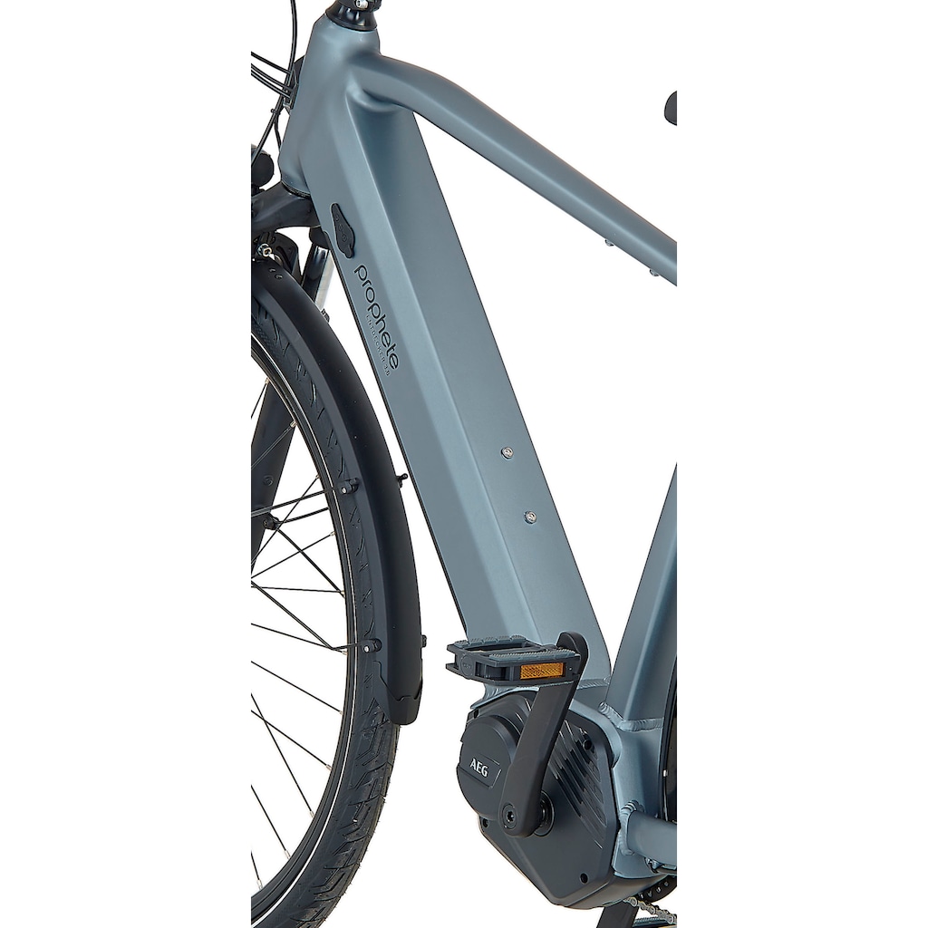 Prophete E-Bike »Prophete E-Bike Entdecker 3.8«, 8 Gang, Shimano, Altus, Mittelmotor 250 W
