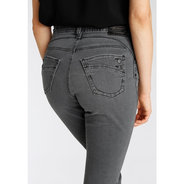 Herrlicher High-waist-Jeans »PIPER HI SLIM ORGANIC DENIM CASHMERE TOUCH«, umweltfreundlich  dank Kitotex Technologie bestellen | BAUR