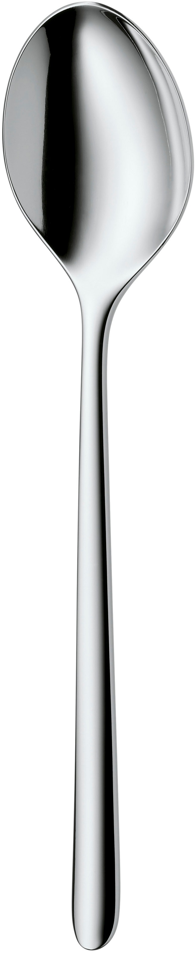 WMF Besteck-Set »Flame Plus«, (Set, 66 tlg.), ergonomisch, Cromargan protect