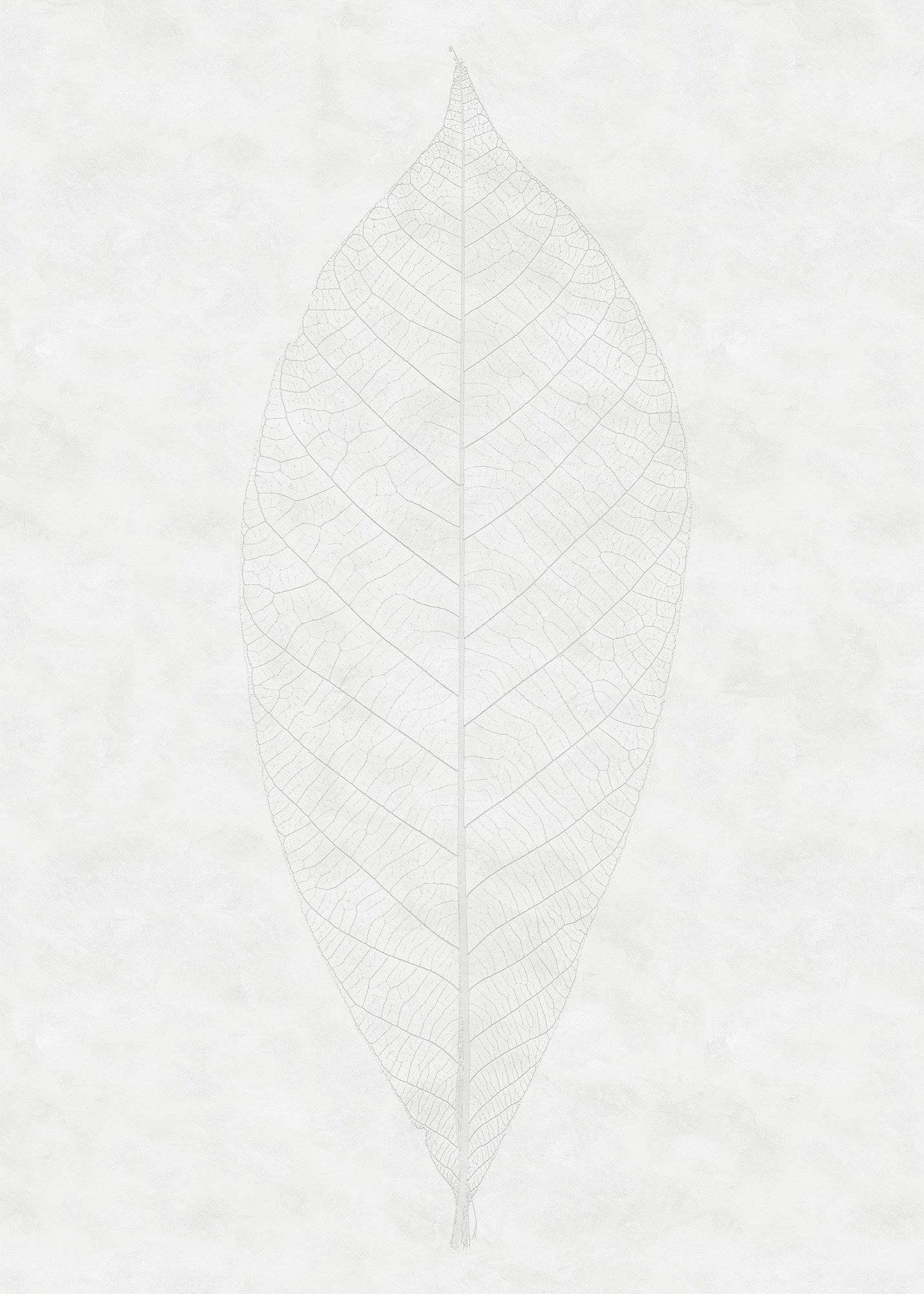 Komar Vliestapete »Decent Leaf«, 200x280 cm (Breite x Höhe), Vliestapete, 100 cm Bahnbreite