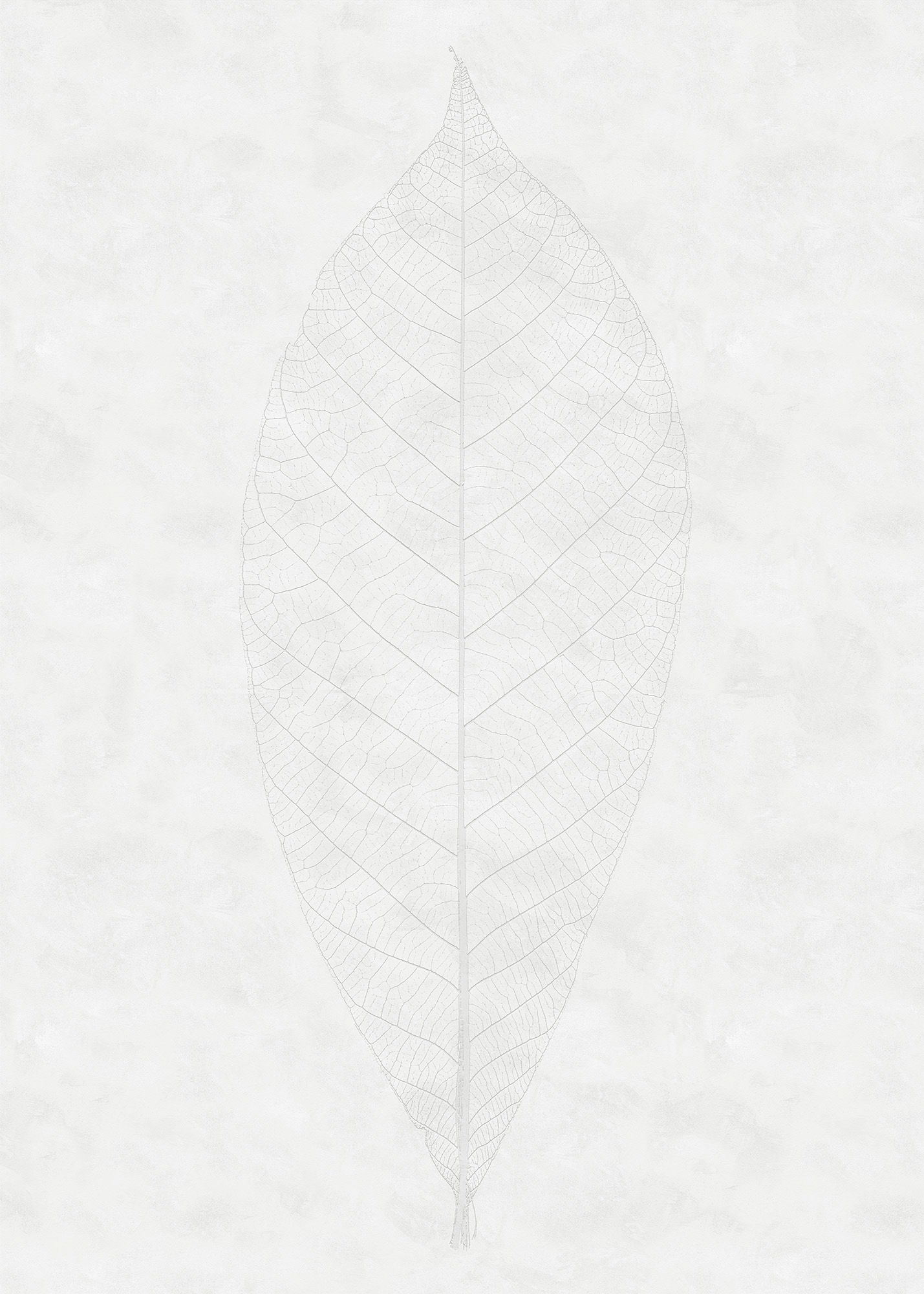 Komar Vliestapete "Decent Leaf", 200x280 cm (Breite x Höhe), Vliestapete, 100 cm Bahnbreite