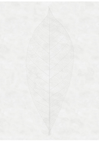 Komar Vliestapete »Decent Leaf« 200x280 cm (...