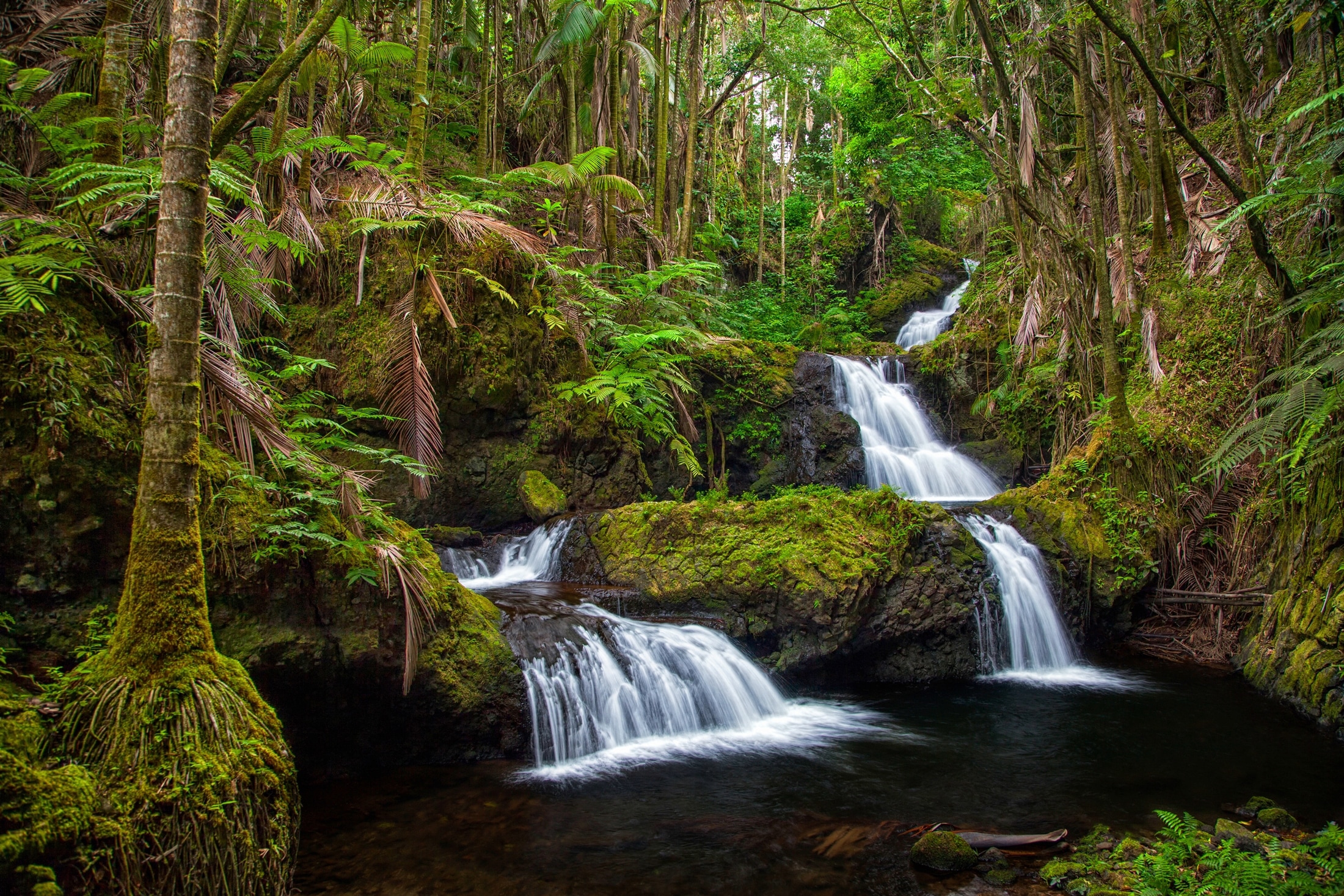 Papermoon Fototapete "WASSERFALL-MAGISCHER WALD BÄUME FLUSS SEE STEINE BLUMEN"