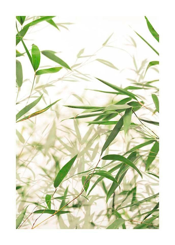 Komar Bild "Bamboo Leaves" Blätter Pflanzen 1 Stk. tlg. Wandbild zur Dekoration - ohne Rahmen