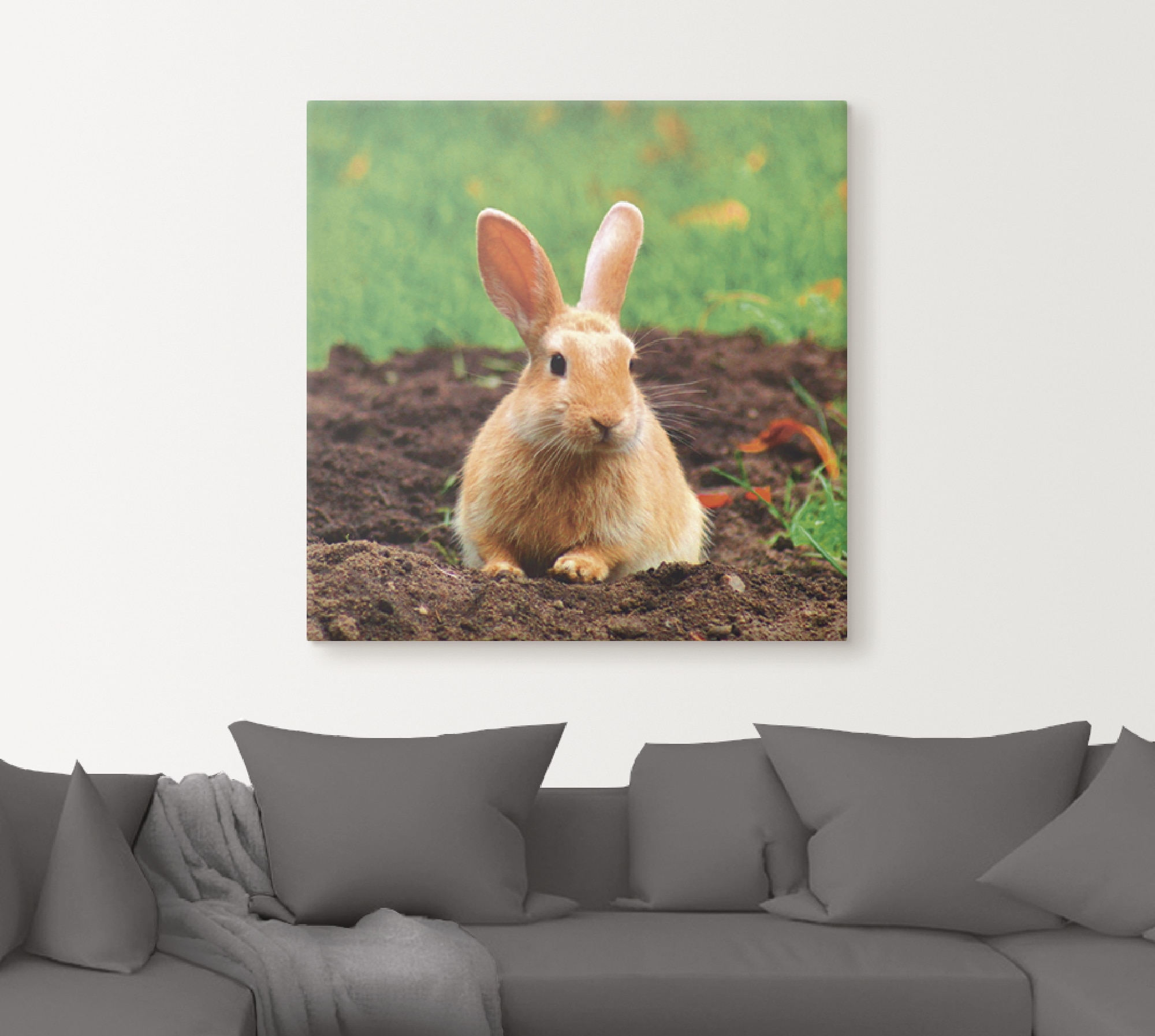 Artland Wandbild »Glückliches Zwergkaninchen«, Wildtiere, (1 St.), als Leinwandbild, Wandaufkleber in verschied. Größen