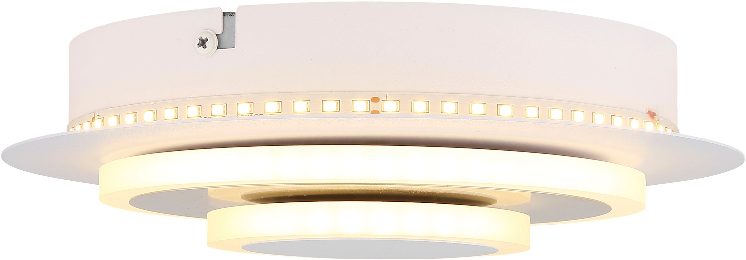 GLOBO LIGHTING Wandleuchte »ODONELL« LED-Modul 1 Stk. Warmweiß Bewegliche Wandleuchte für Wohn- & Schlafzimmer