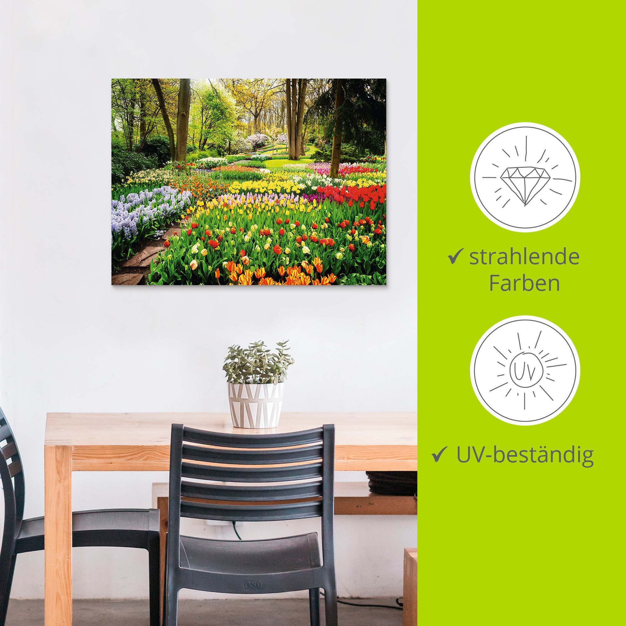 Artland Wandbild »Tulpen Garten Frühling«, Blumenwiese, (1 St.), als Alubild, Outdoorbild, Leinwandbild, Poster, Wandaufkleber