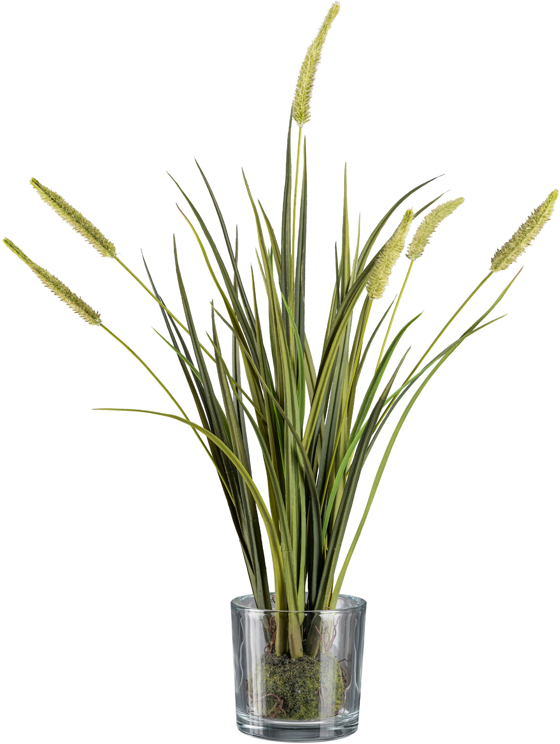 Creativ green Kunstgras "Grasbusch Miscanthus im Erdballen mit Glas"