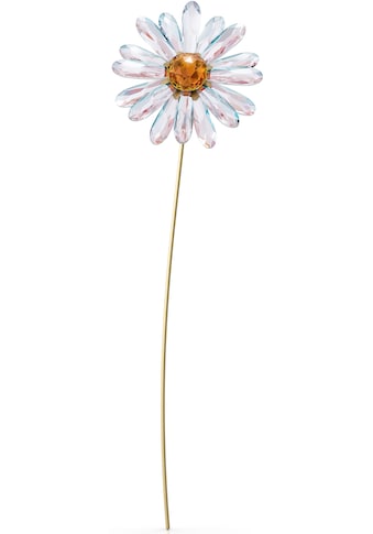 Dekoobjekt »Kristallfigur Blume Garden Tales Margerite, 5619221«, Swarovski® Kristall