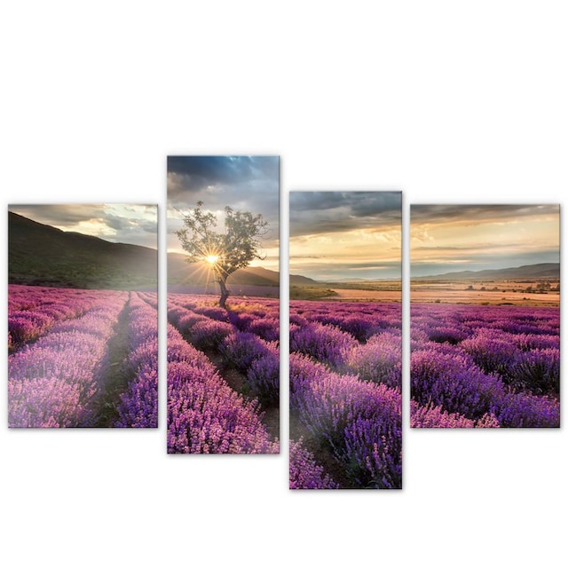 Wunderschöne Lavendel Provence  Leinwandbild Wanddeko Kunstdruck