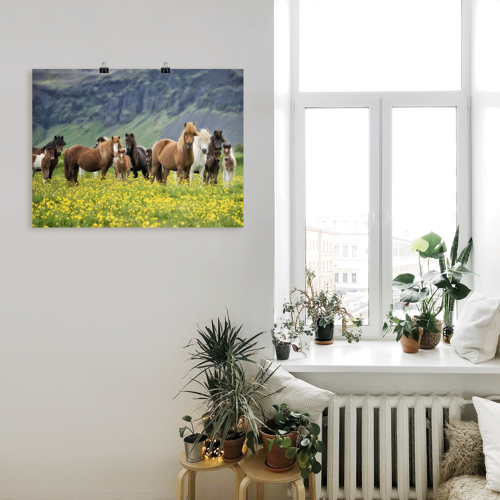 Artland Wandbild »Isländische Pferde VII«, Haustiere, (1 St.), als Leinwandbild, Poster, Wandaufkleber in verschied. Größen