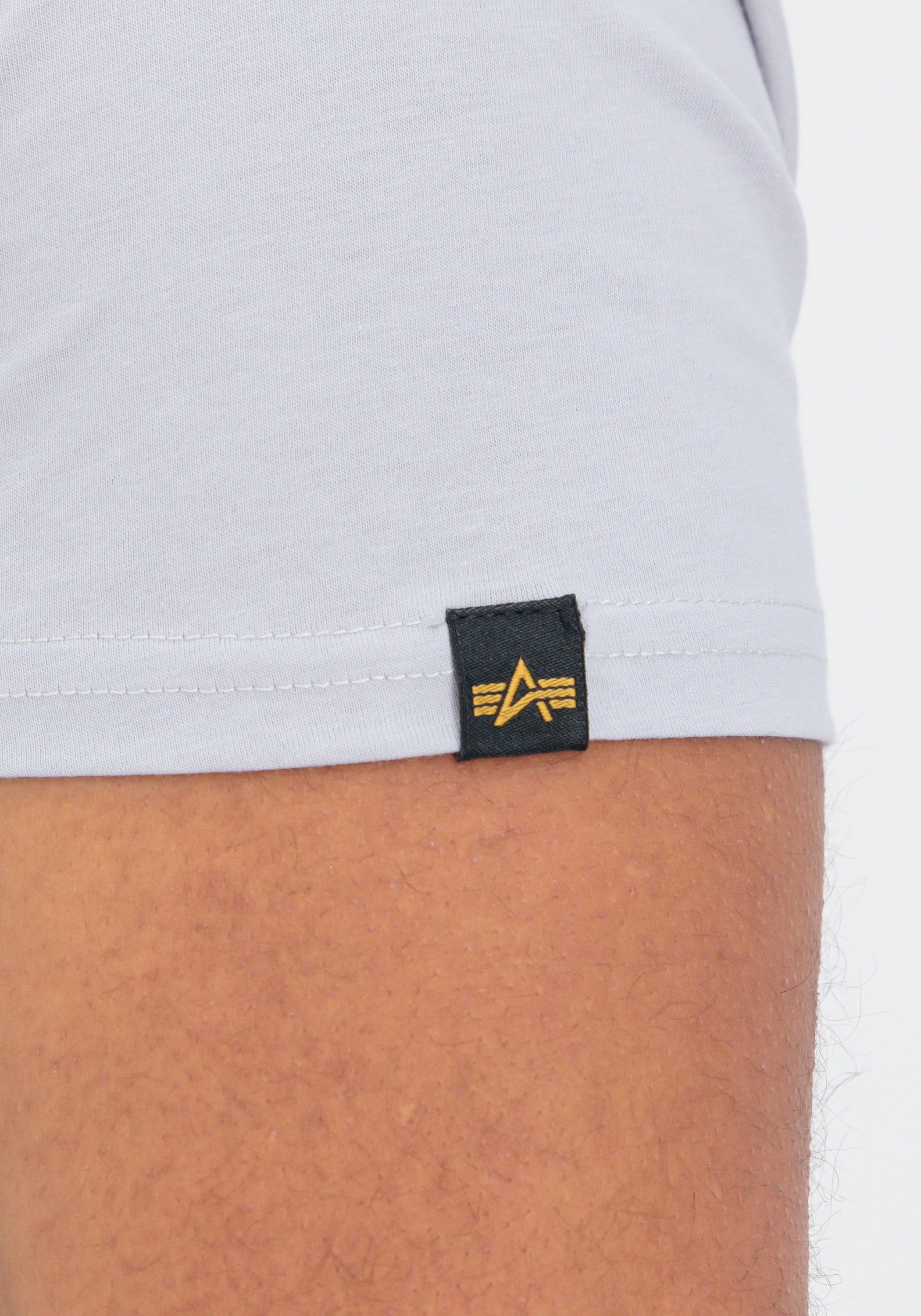 Alpha Industries T-Shirt »Alpha Industries Men - T-Shirts Basic T-Shirt BL Rainbow Ref.«