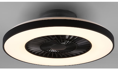 TRIO Leuchten LED Deckenleuchte »Halmstad«, mit Ventilator, Fernbedienung,... kaufen