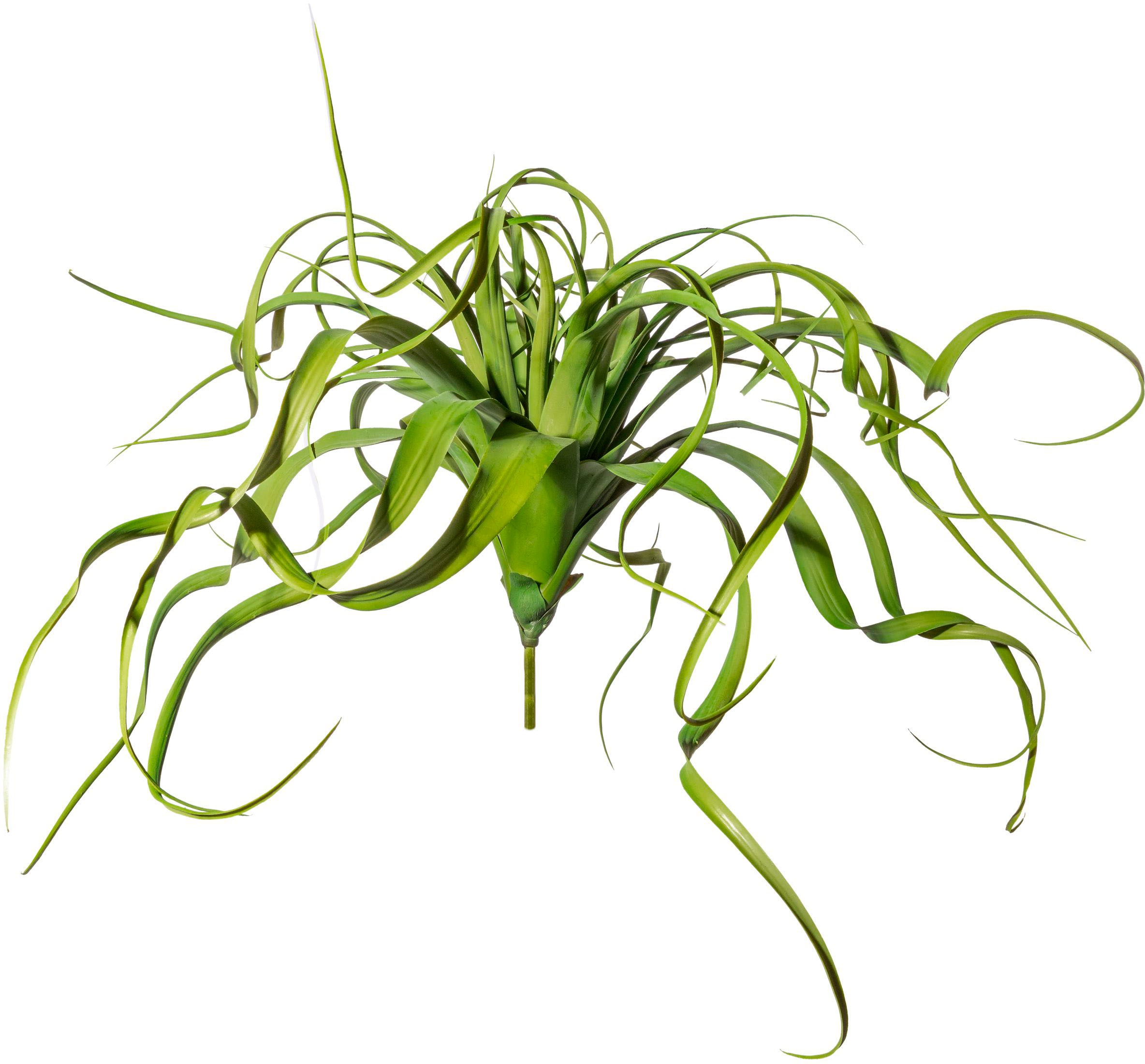 Creativ green bestellen Größe toller »Farnpflanze«, in Kunstranke | BAUR