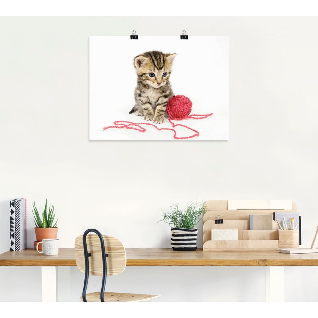Artland Wandbild »Kätzchen mit rotem Garnball«, Haustiere, (1 St.)