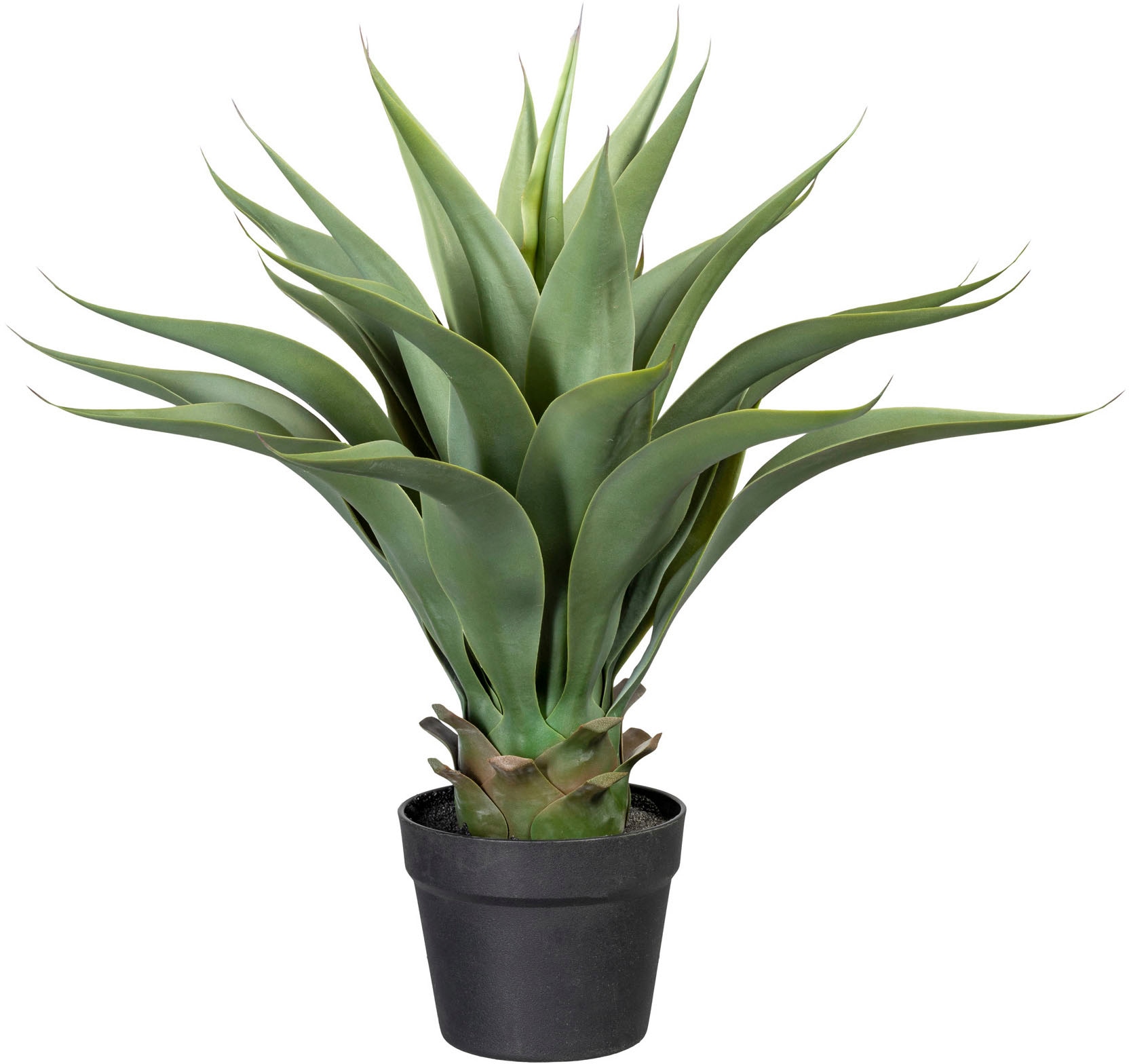 Creativ green Künstliche Zimmerpflanze "Agave" günstig online kaufen