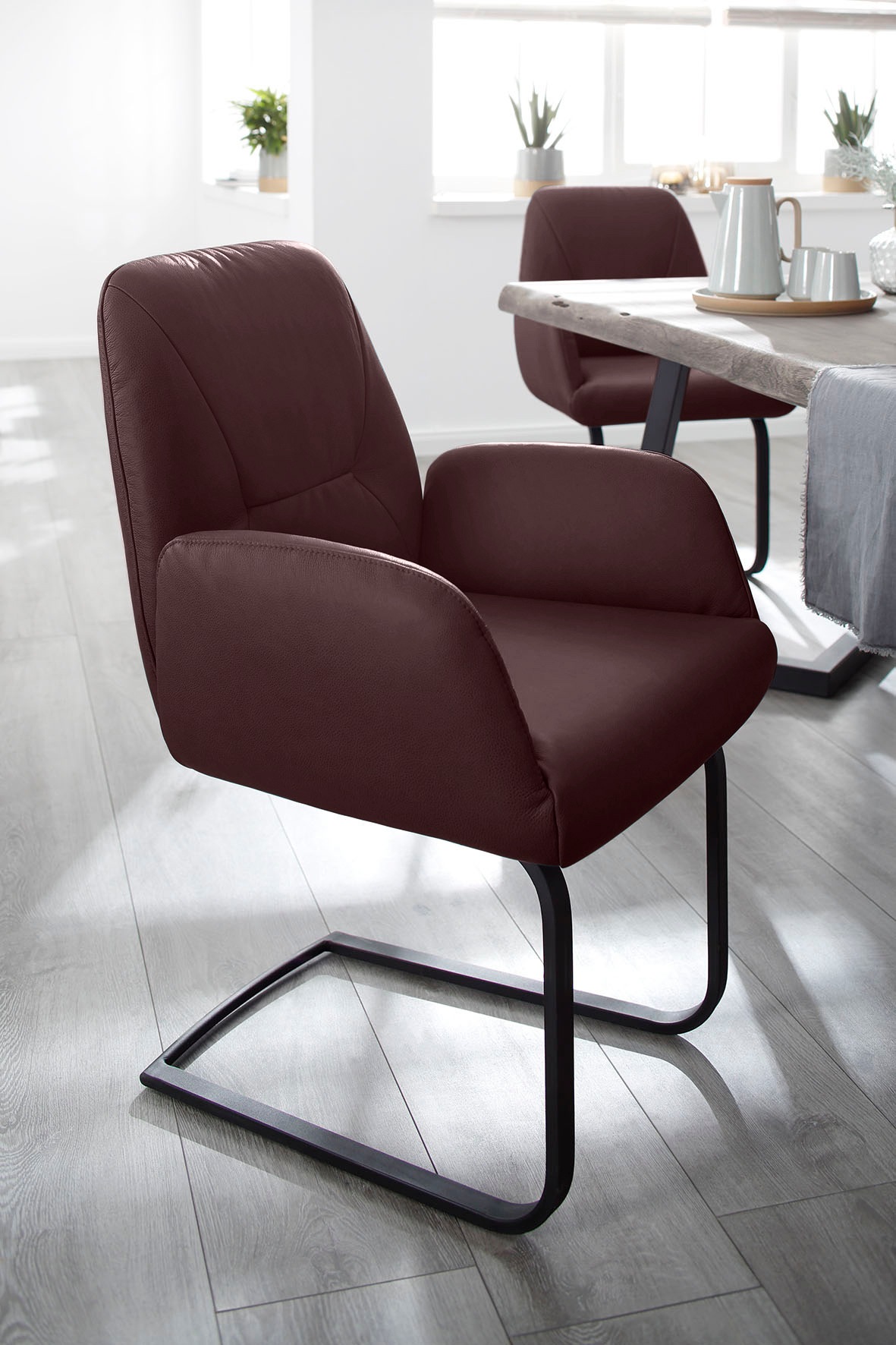 Thumbnail - W.SCHILLIG Freischwinger "ole" (Set) 4 Stk.2er- oder 4er-Set, Gestell in Schwarz pulverbeschichtet