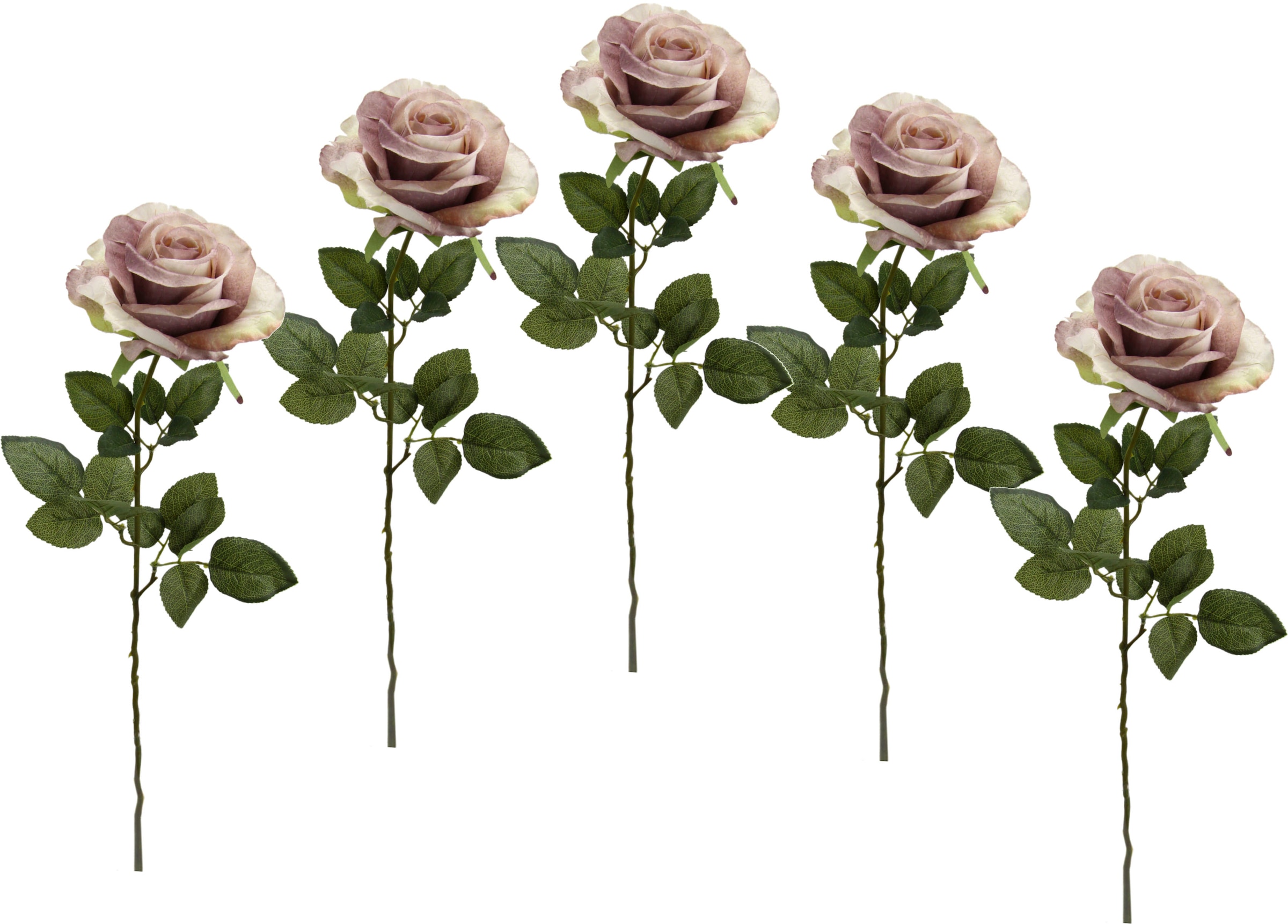 I.GE.A. Kunstblume »Rose«, 5er bestellen Set BAUR 