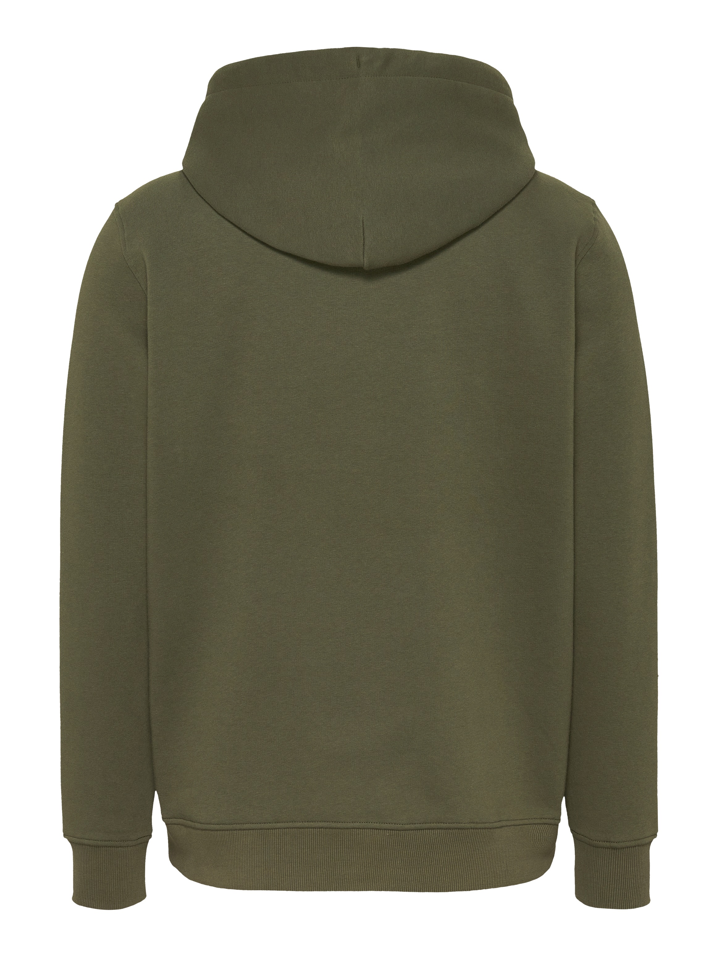 Tommy Jeans Plus Hoodie »TJM REG LINEAR LOGO HOODIE EXT«, in Große Größen, Logodruck