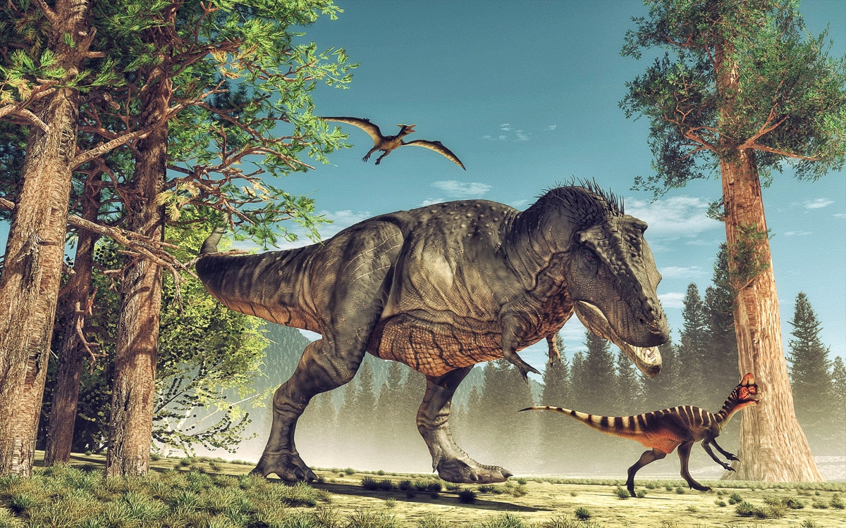 Papermoon Fototapete "Dinosaurier" günstig online kaufen