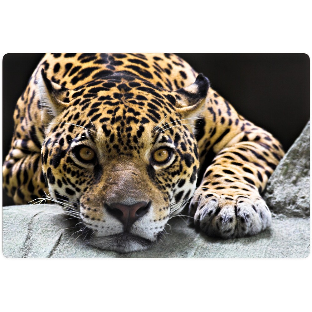 Glasbild »Jaguar«, Schriftzug