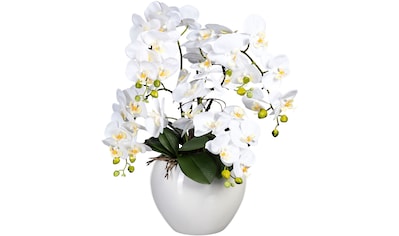 Kunstorchidee »Phalaenopsis im Keramiktopf«