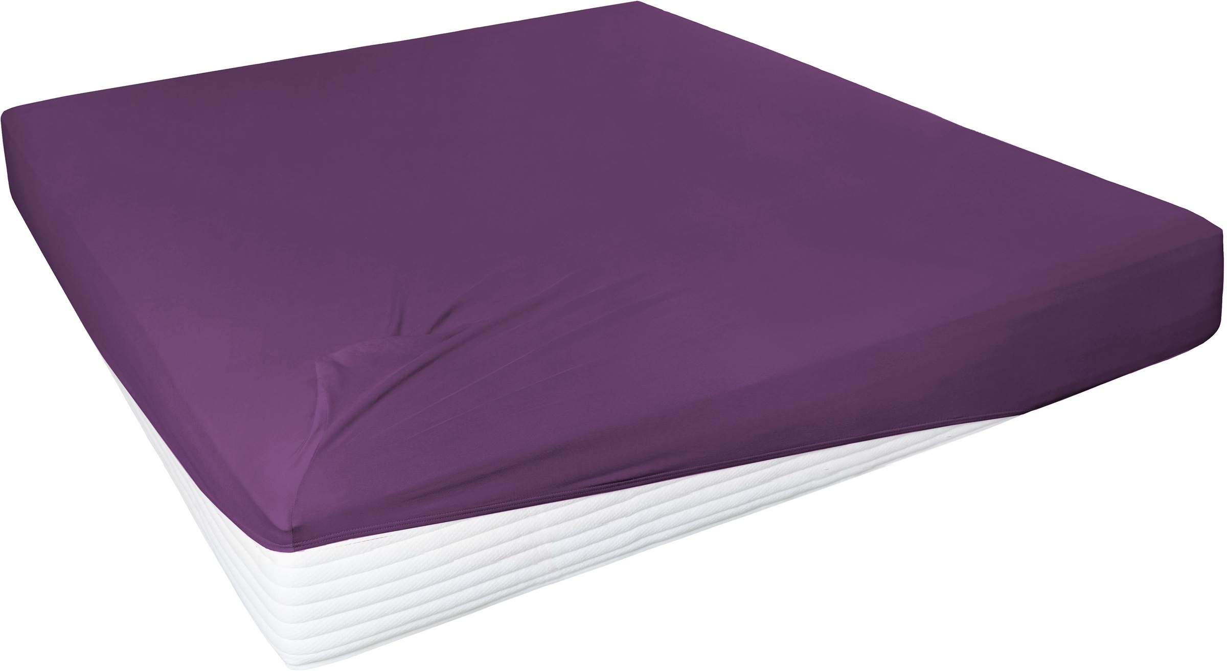 Primera Spannbettlaken »Elasthan-Feinjersey«, PREMIUM, aus 95% gekämmter Baumwolle und 5% Elasthan, bis 28 cm Höhe