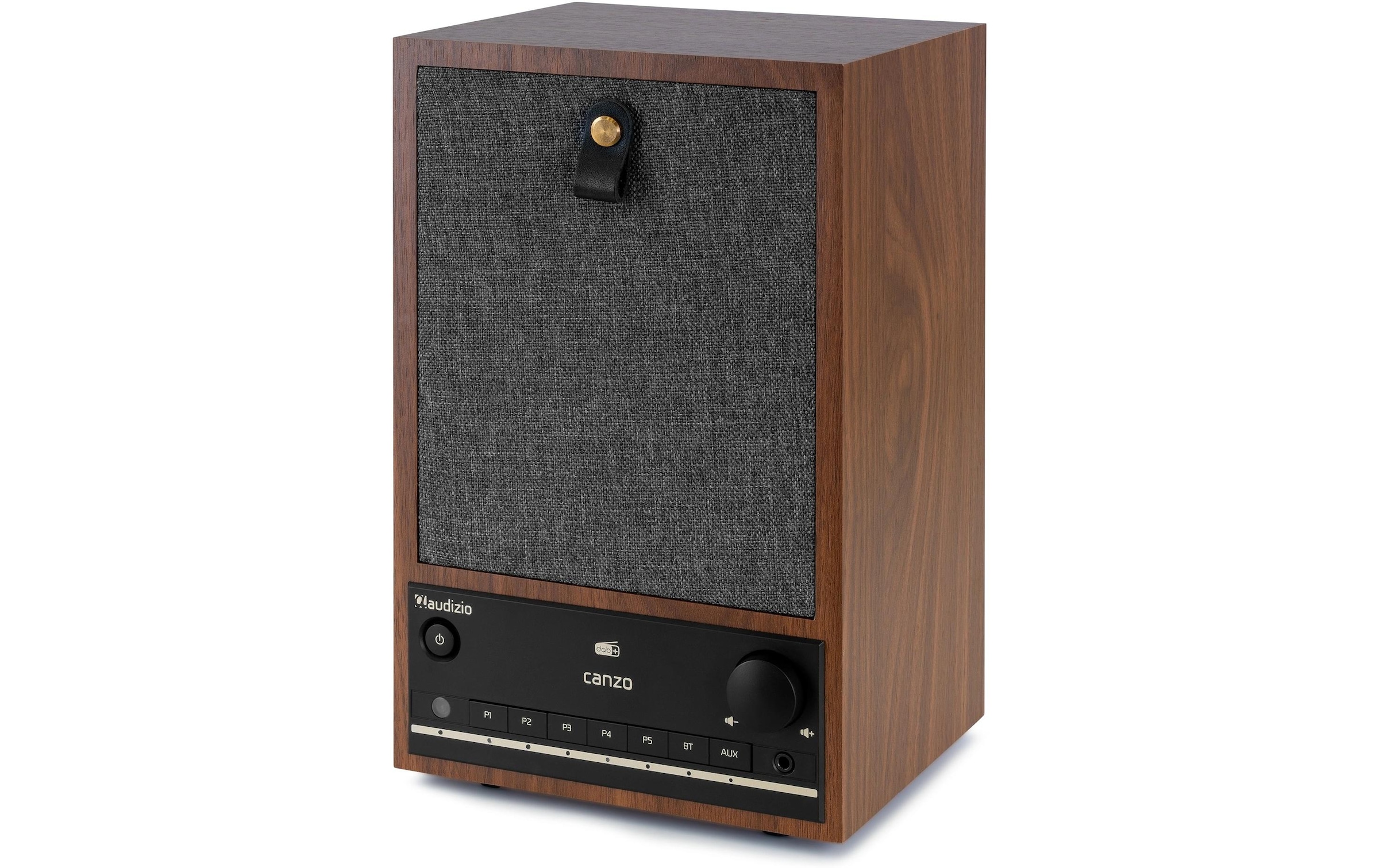 AUDIZIO Digitalradio (DAB+) »Internet Canzo« ( )