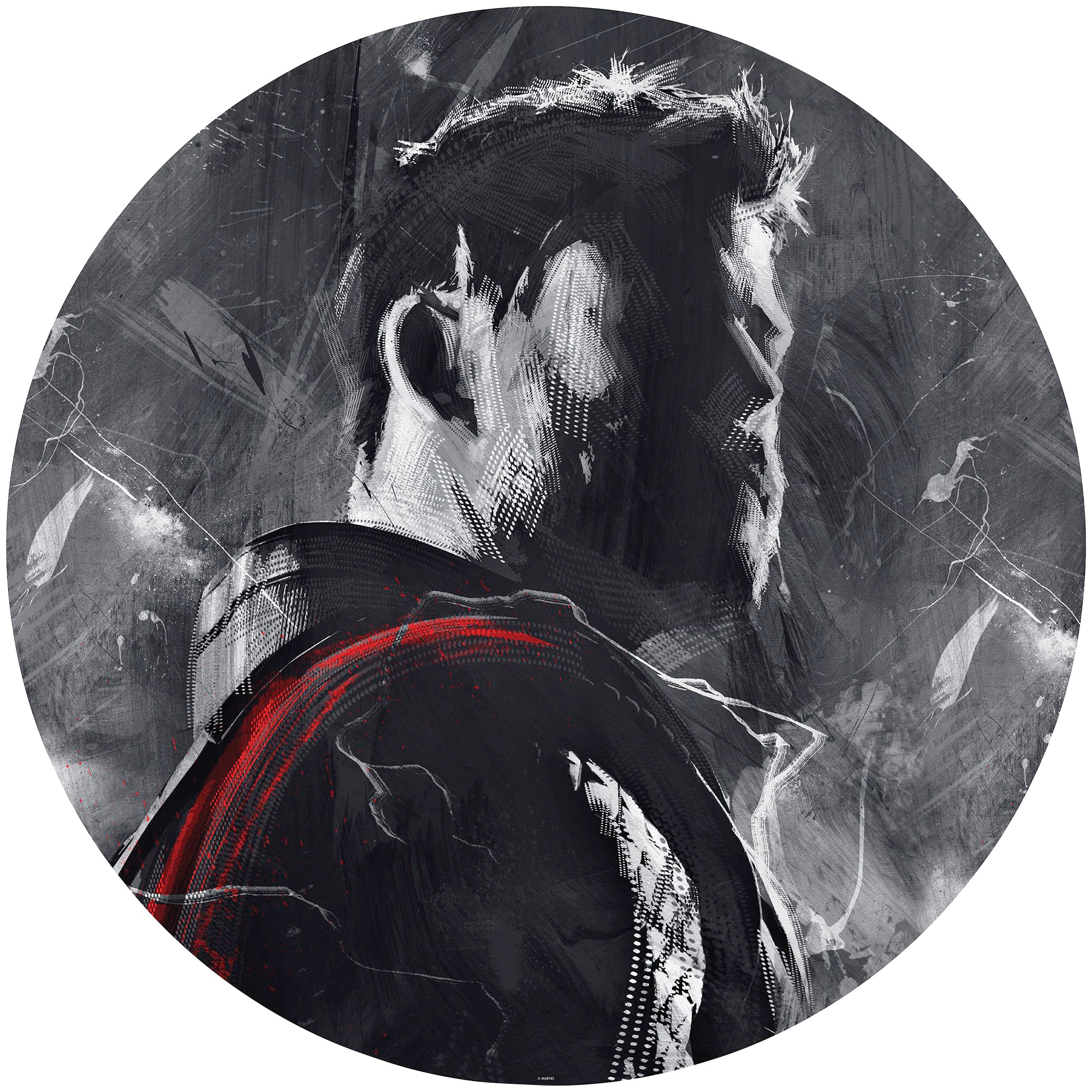 Komar Fototapetas »Avengers Painting Thor« 1...