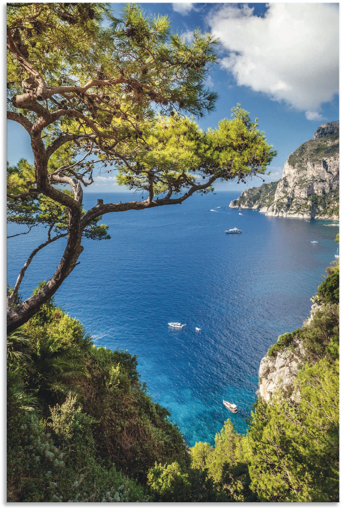 Artland Wandbild "Punta de Masullo, Insel Capri, Italien", Meer Bilder, (1 St.), als Alubild, Outdoorbild, Leinwandbild,